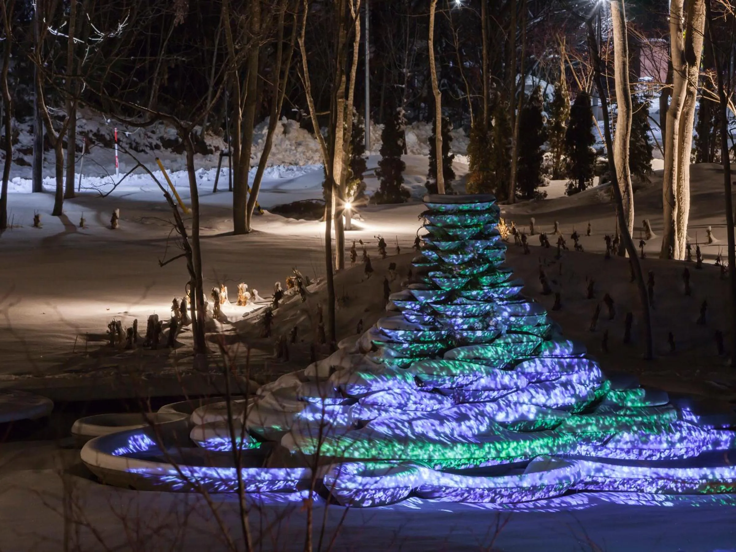 Night in Hakodate Onuma Tsuruga Resort EPUY- 30km from Hakodate Station