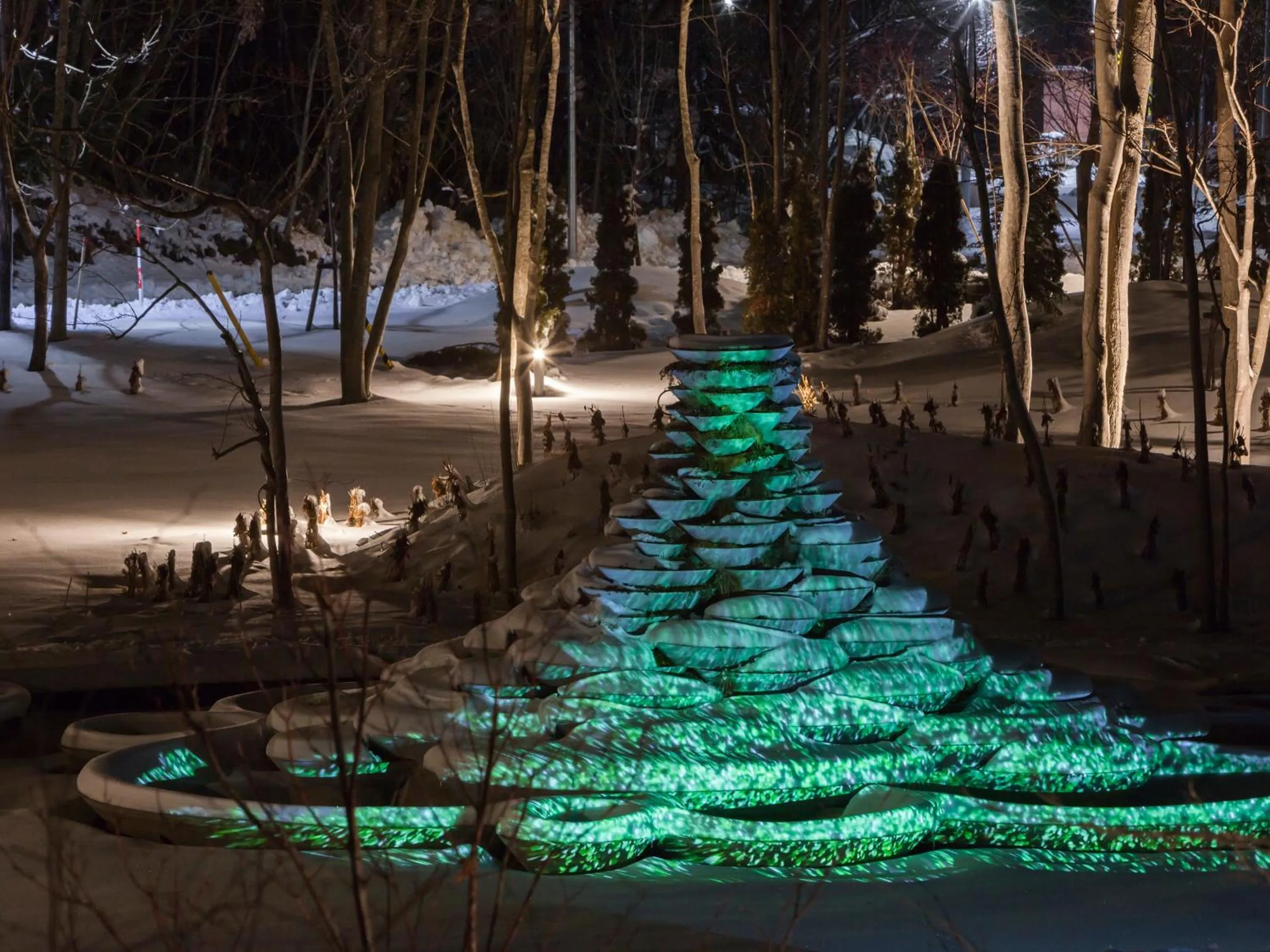 Night in Hakodate Onuma Tsuruga Resort EPUY- 30km from Hakodate Station