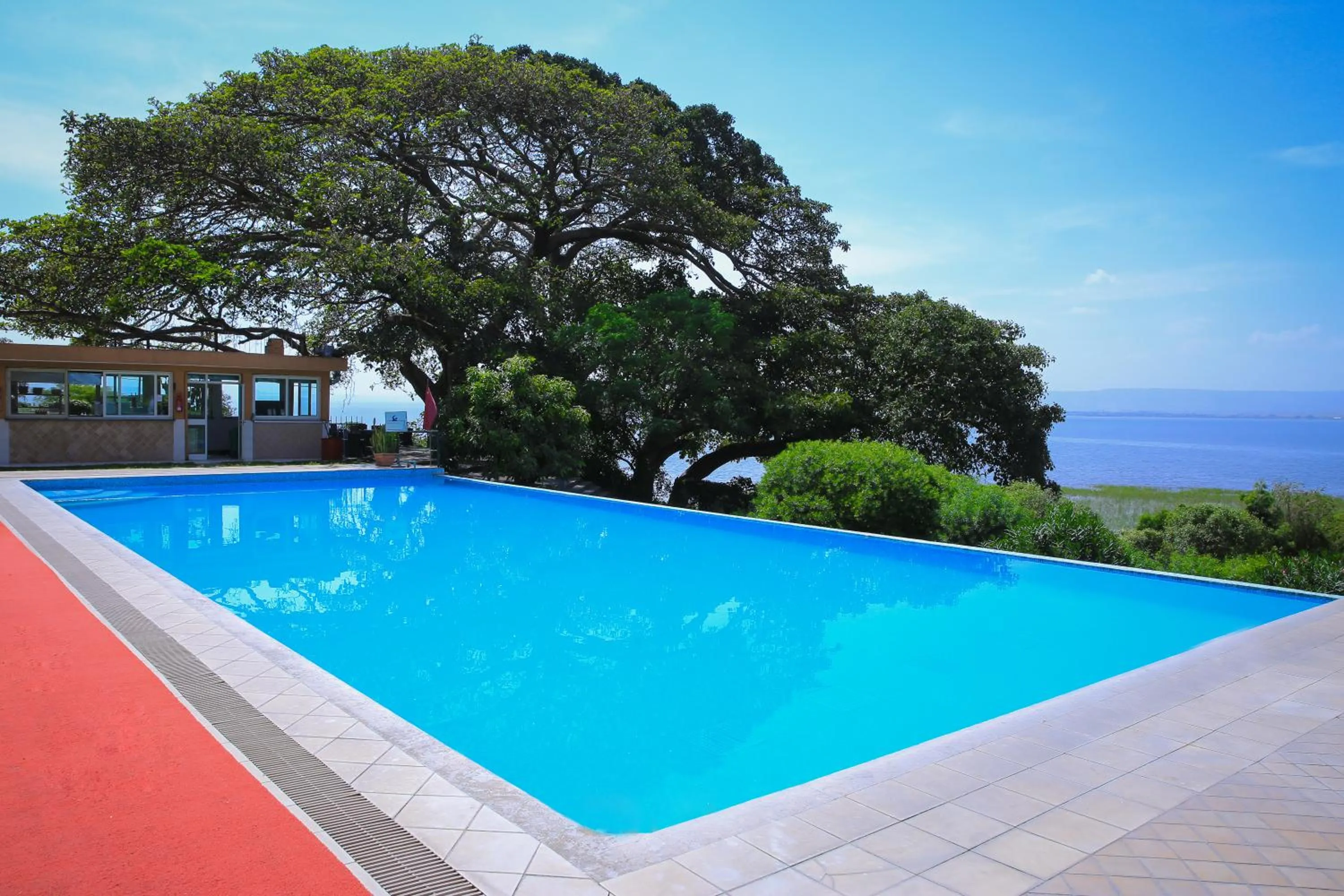 Swimming pool in Haile Resort Hawassa