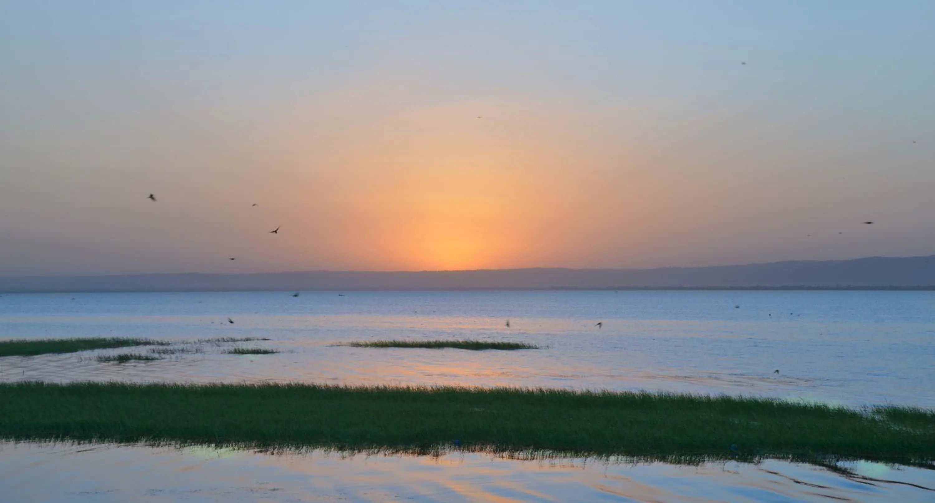 Beach in Haile Resort Hawassa