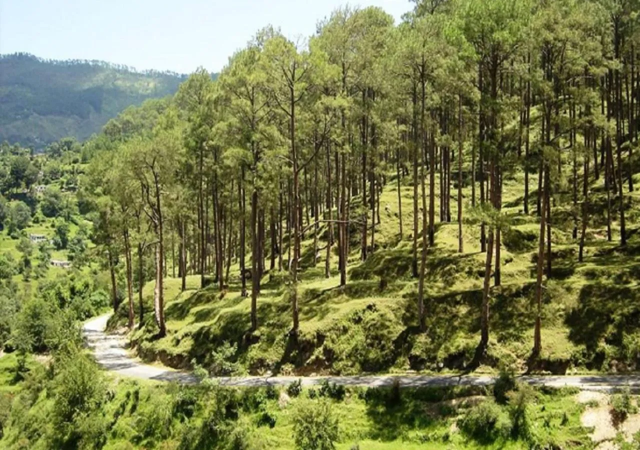 Day in Uttarakhand resort