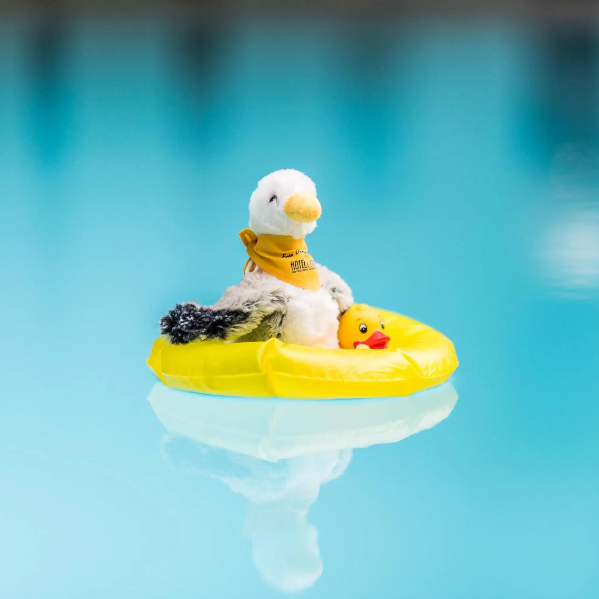 Swimming pool in Park-Hotel Hübner