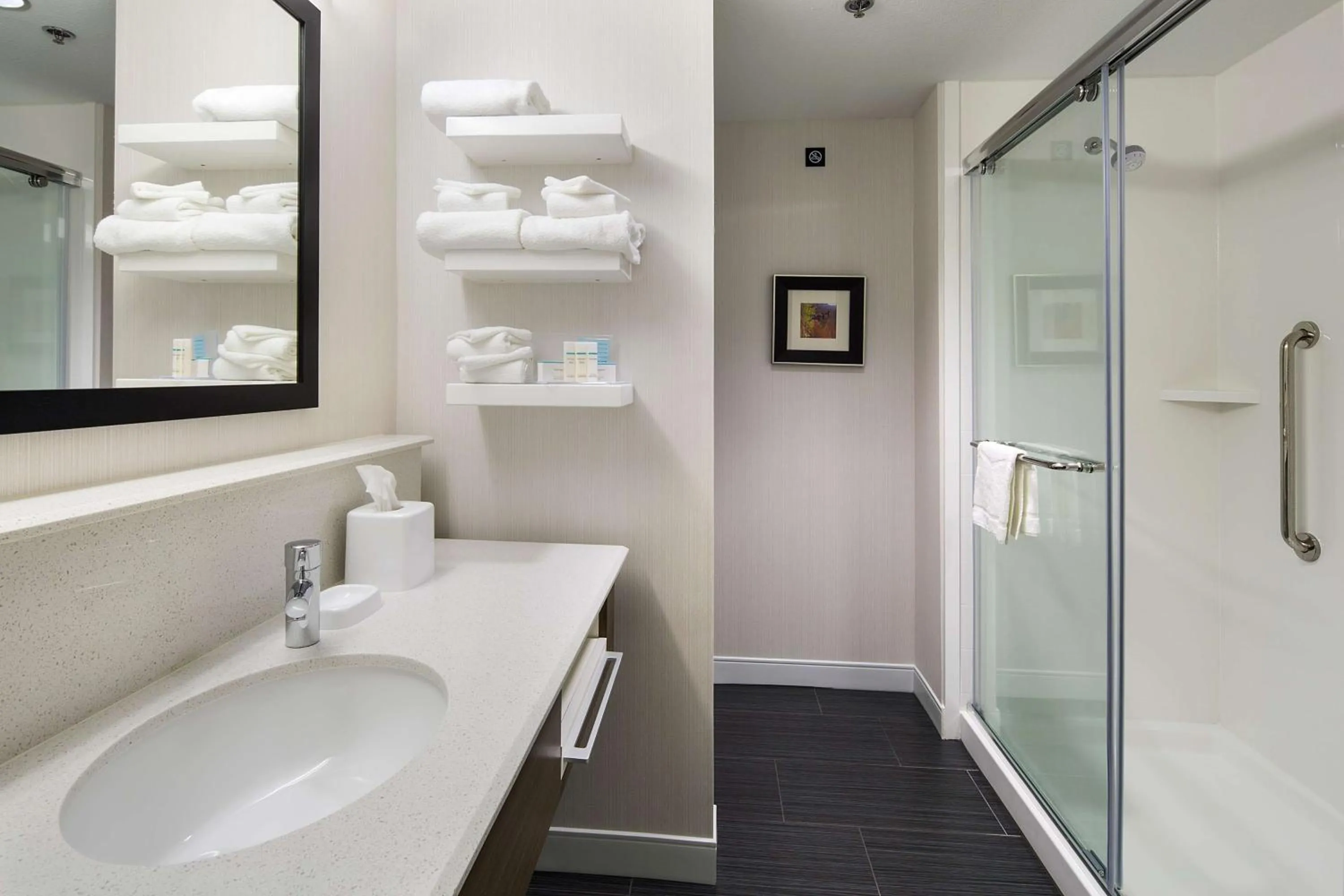 Bathroom in Hampton Inn & Suites Page - Lake Powell