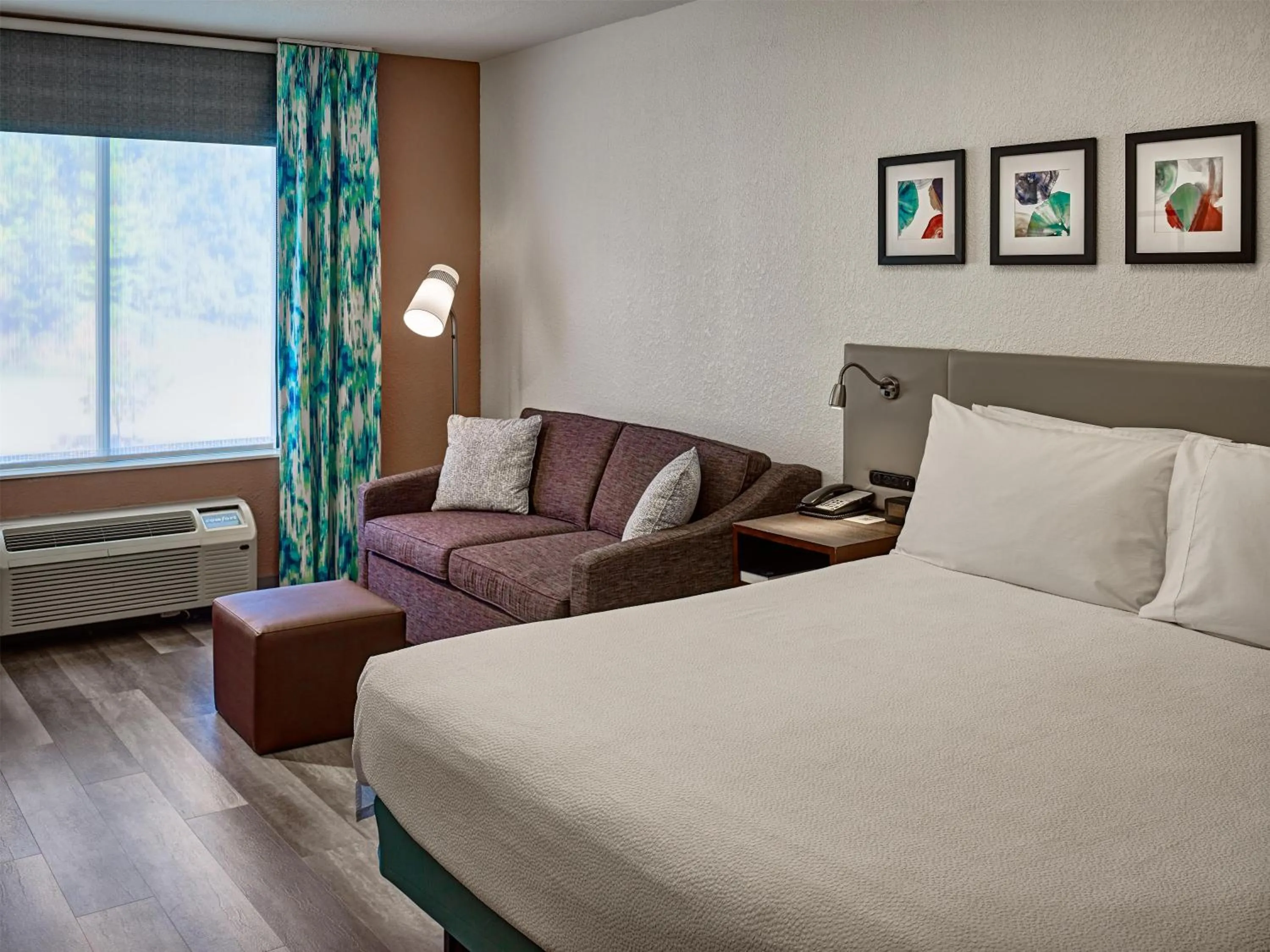 Living room, Bed in Hilton Garden Inn Pigeon Forge