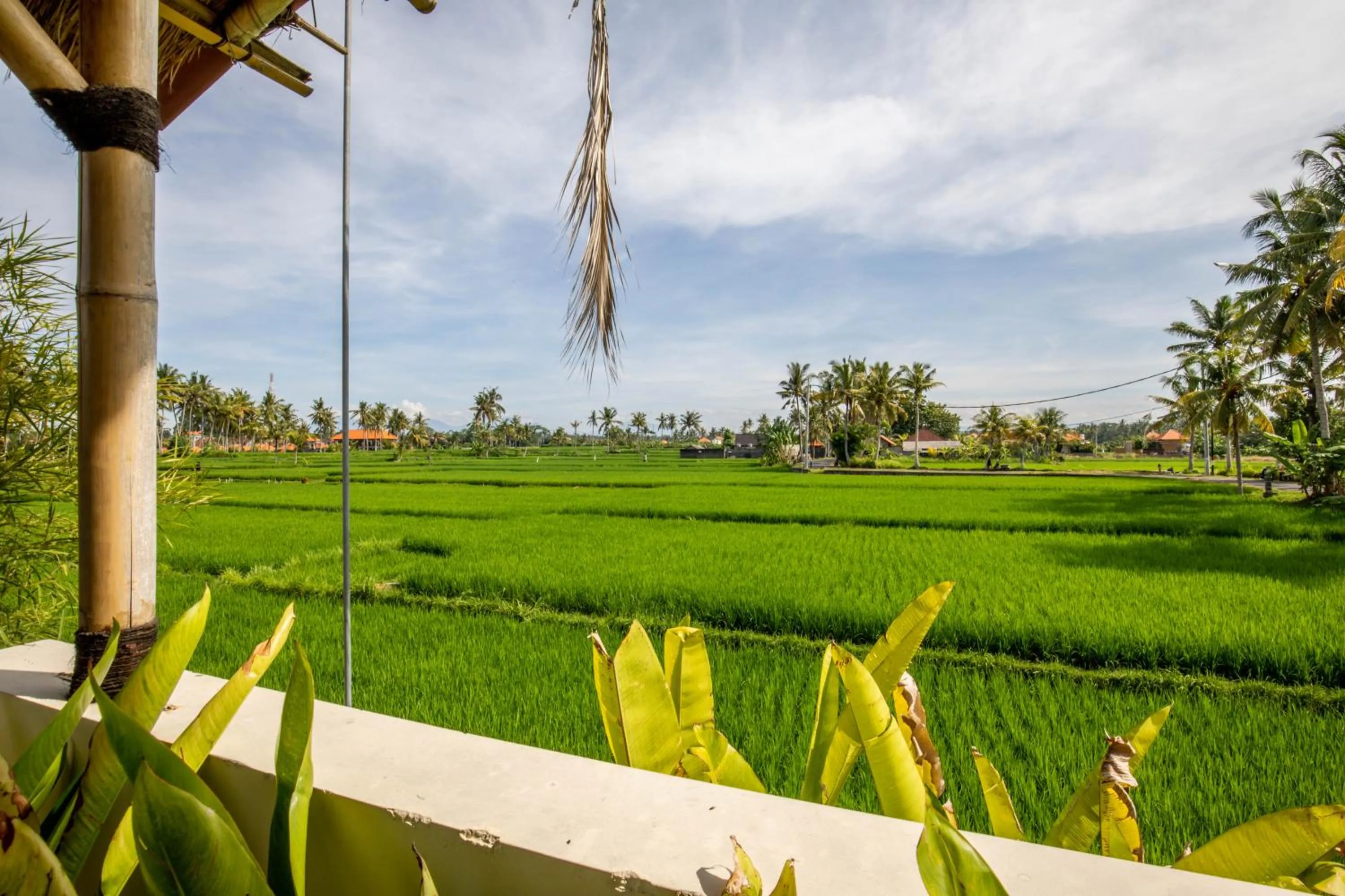 Property building in Sisin Ubud View