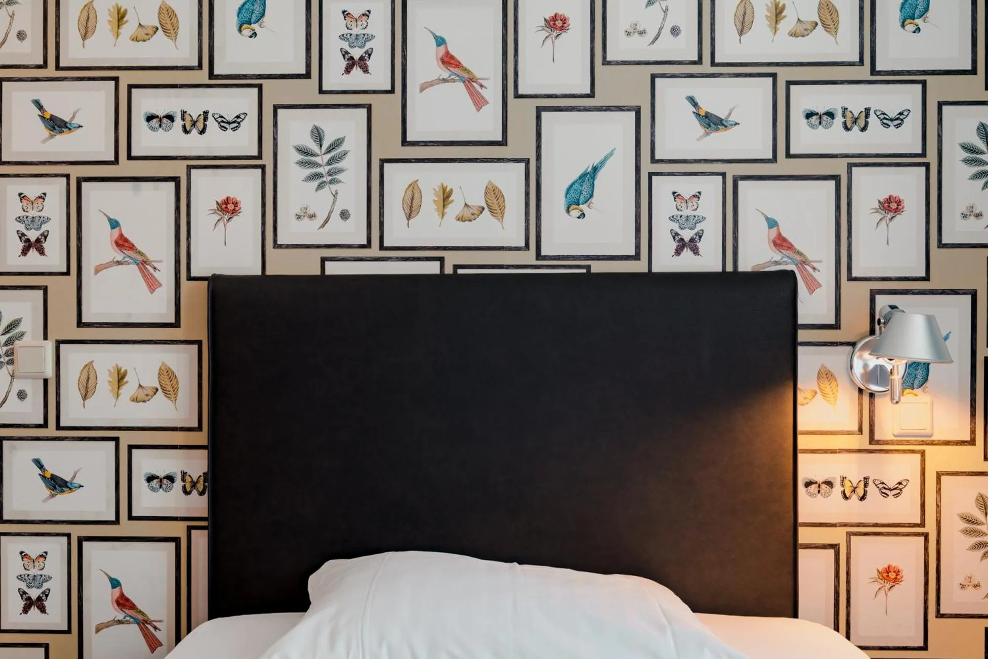 Property building, Bed in Hotel & Gasthaus Backmulde