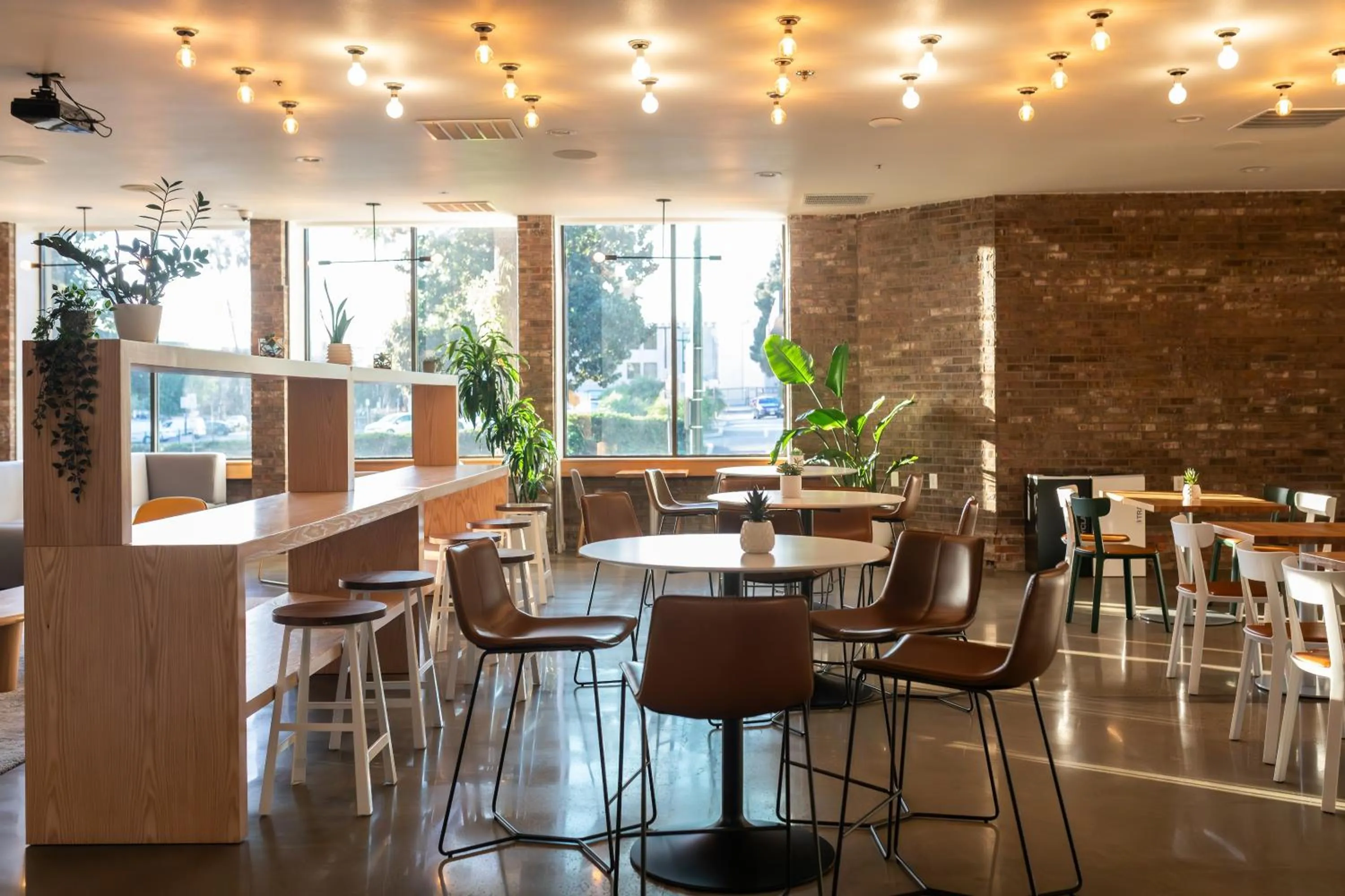 Restaurant/places to eat in Hotel Burbank