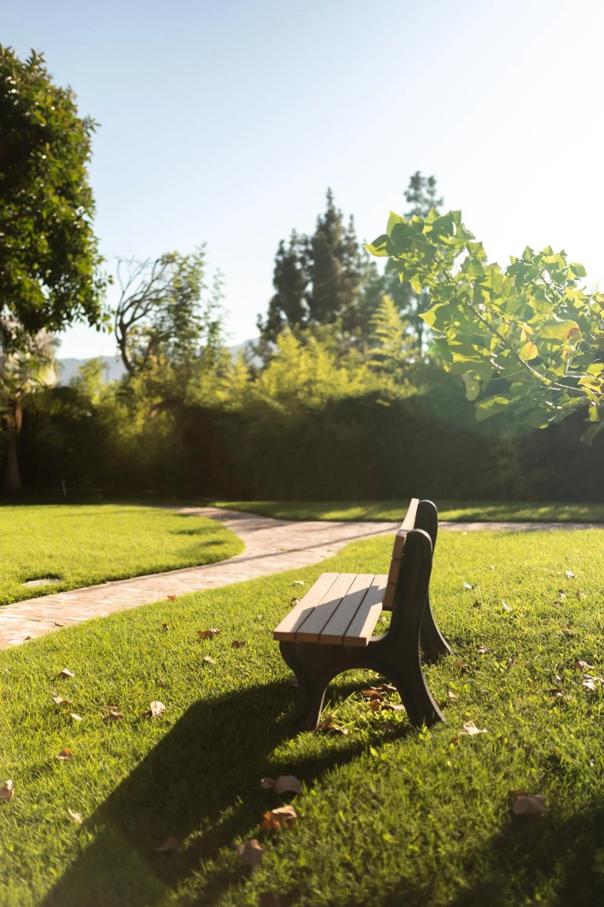 Garden in Hotel Burbank