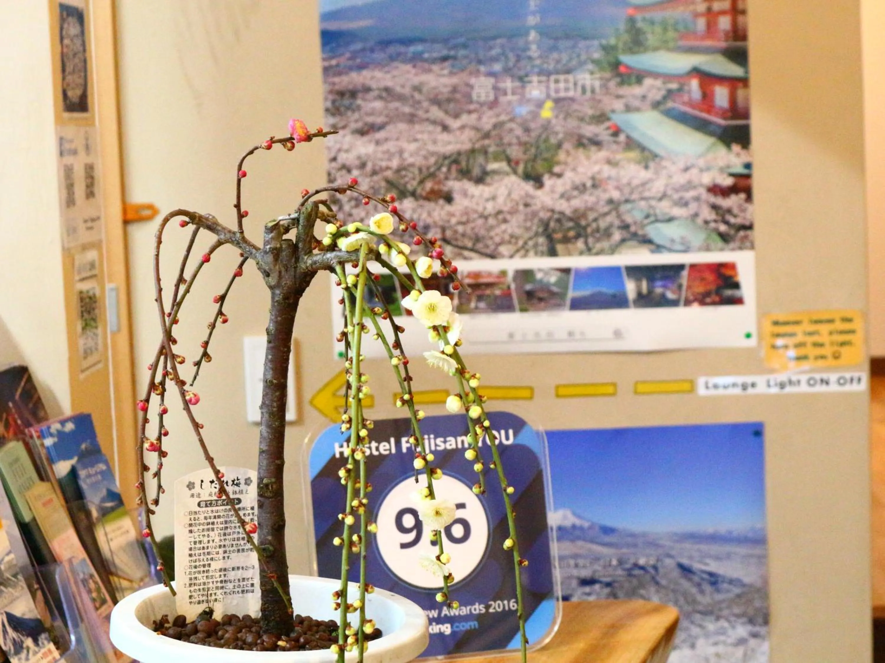 Seasons in ホステル富士山 結