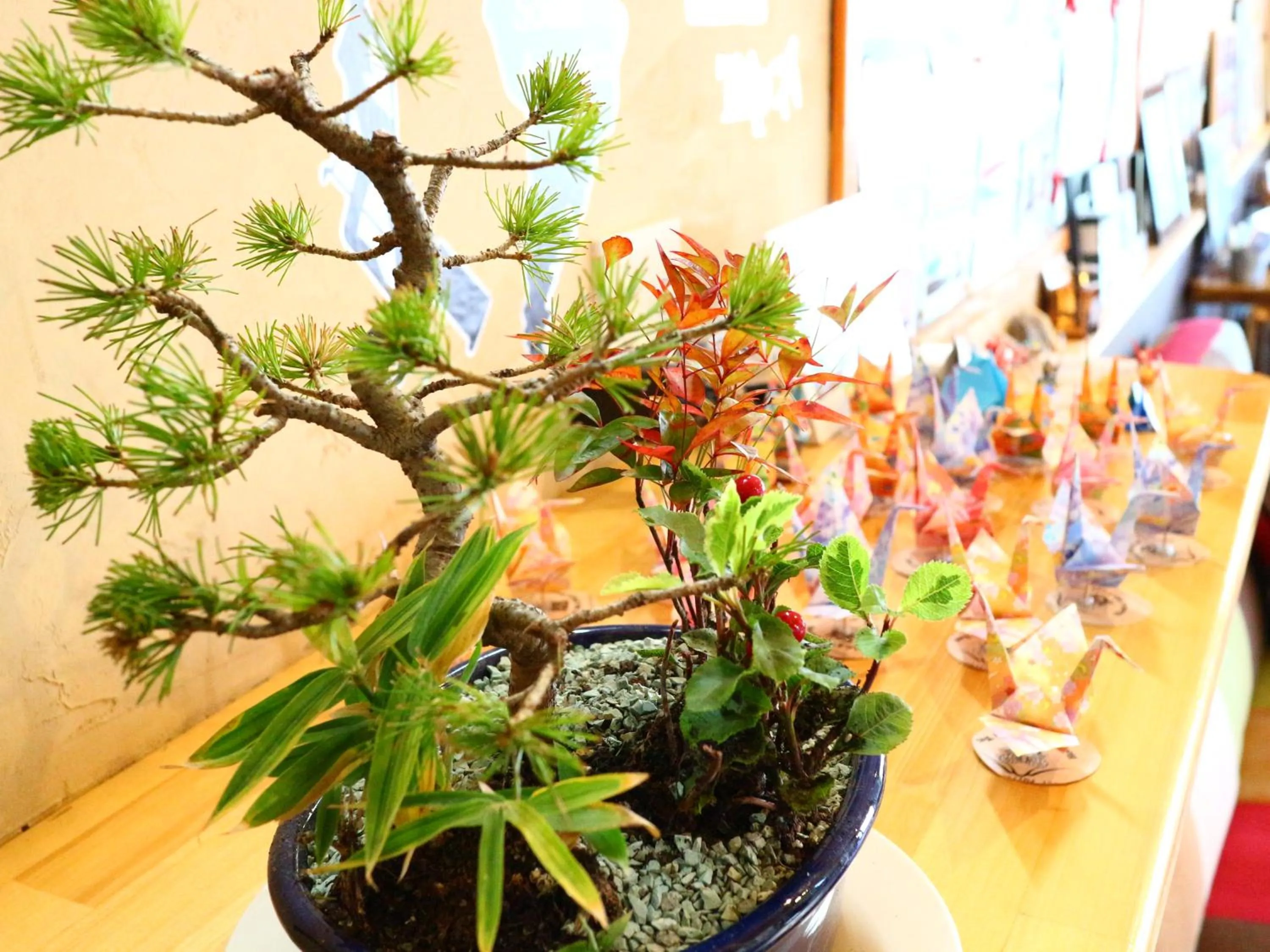 Other in ホステル富士山 結