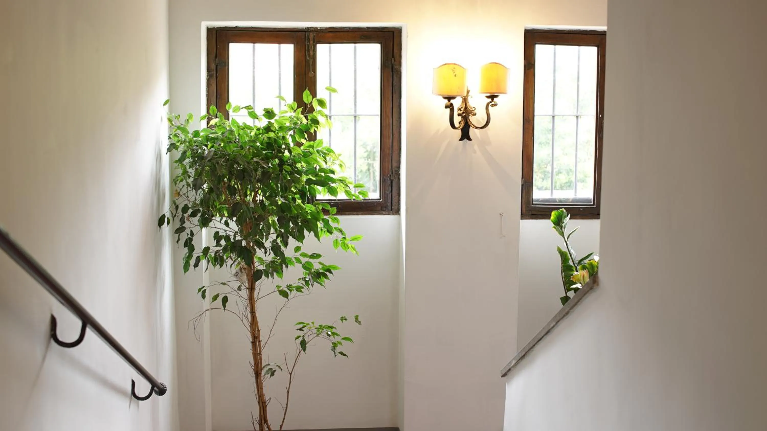 Decorative detail in Domus Corsini