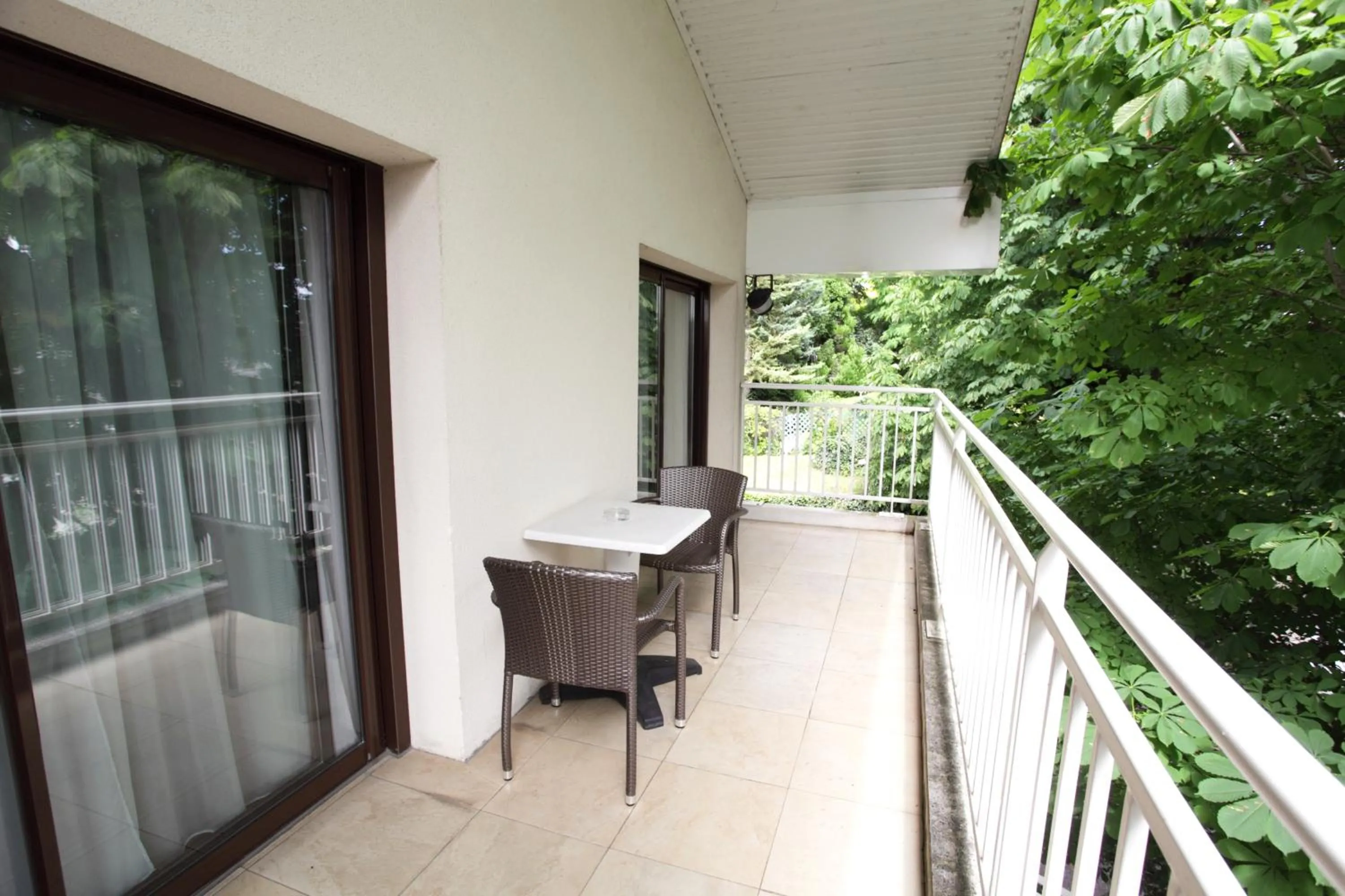 Balcony/Terrace in Hôtel la Scala