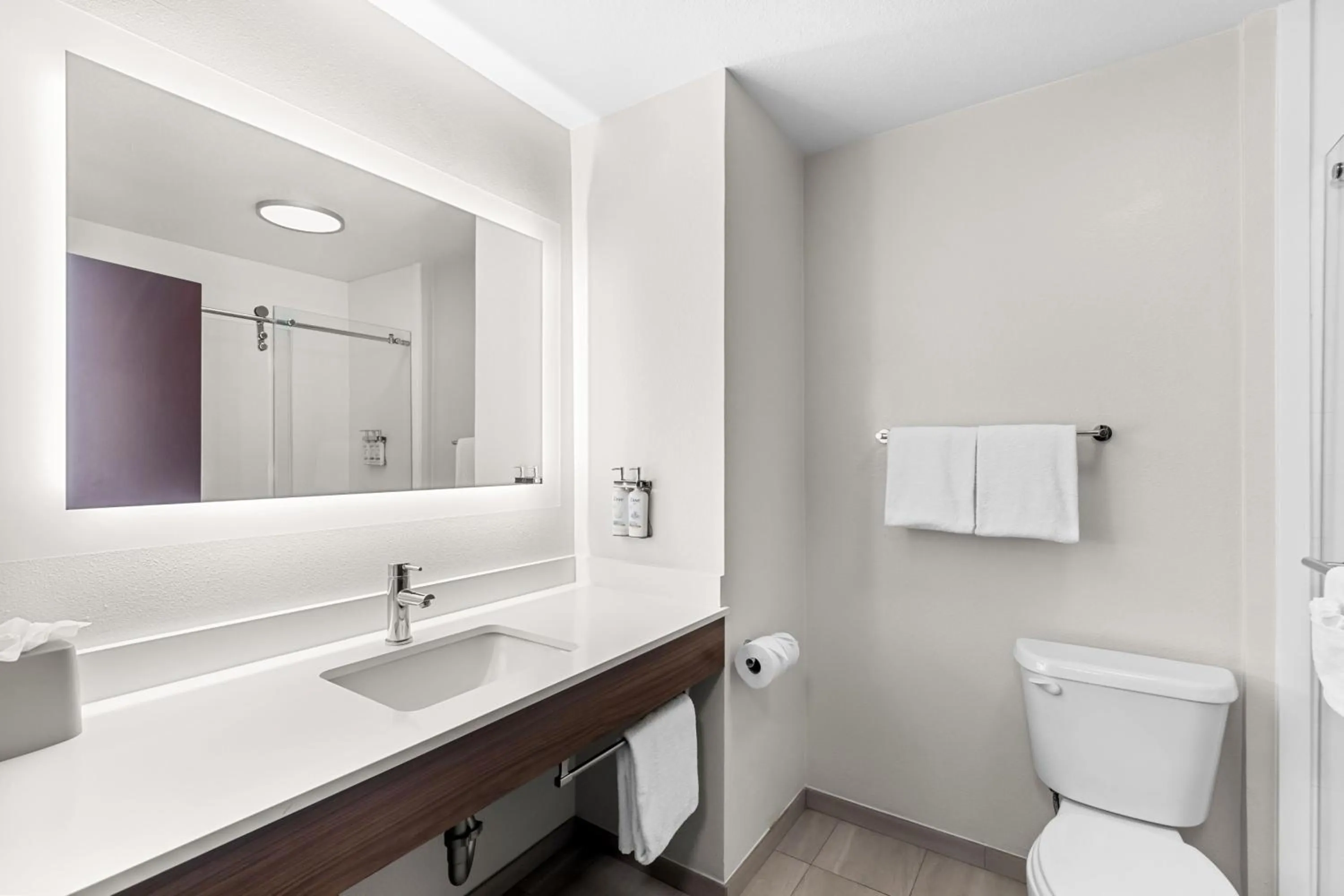 Bathroom in Holiday Inn Express & Suites Austin SW - Sunset Valley by IHG Hotel