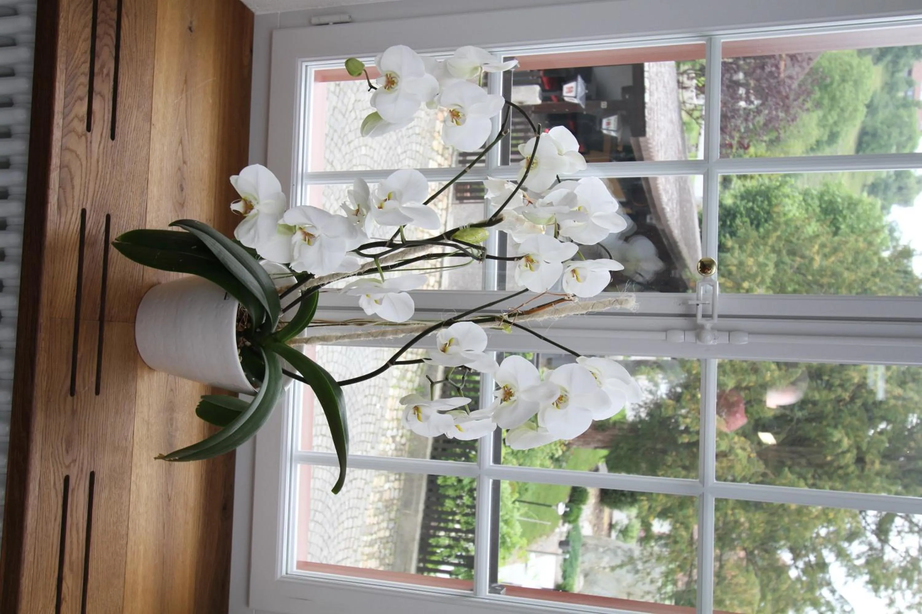 Decorative detail in Hotel Bären