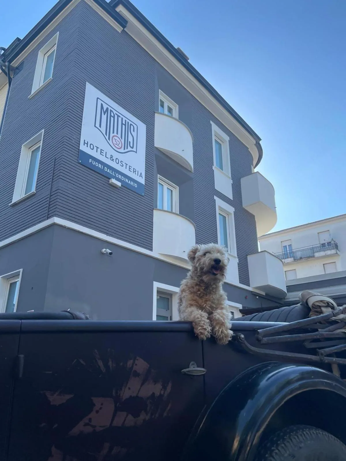 Property building in Mathis