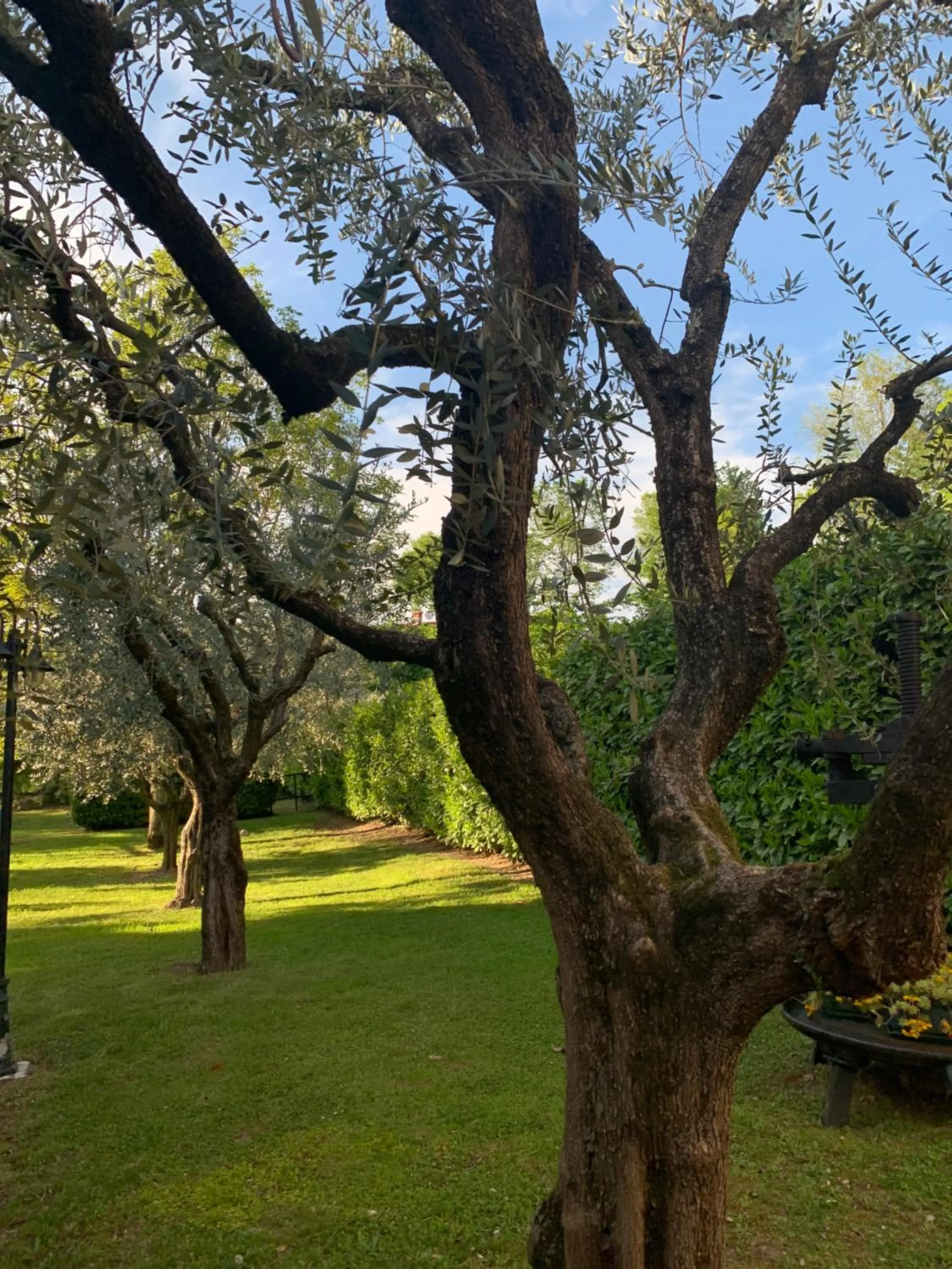 Garden in Rustico di Benellini Angela