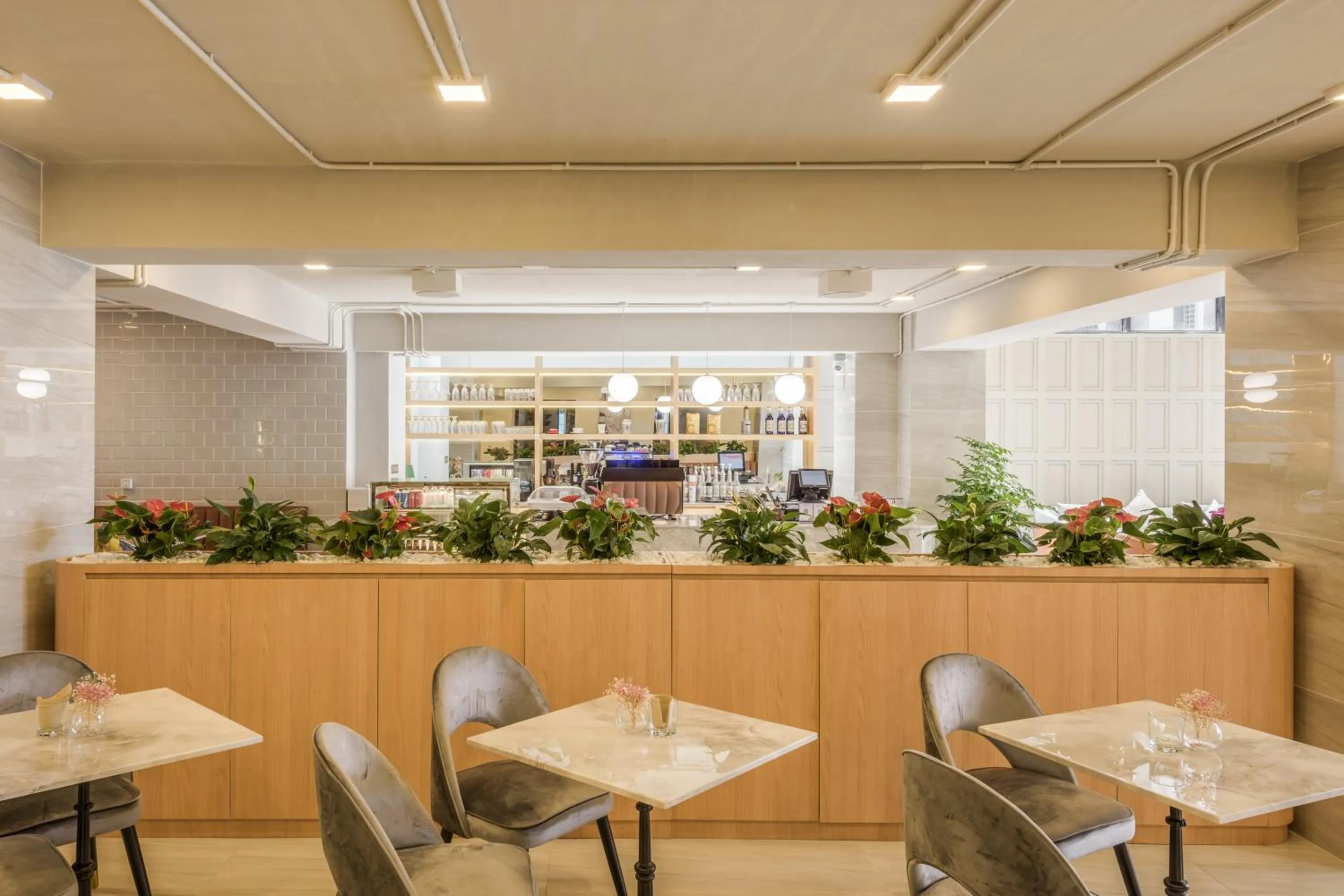 Restaurant/places to eat in Mansion 51 Hotel & Apartment