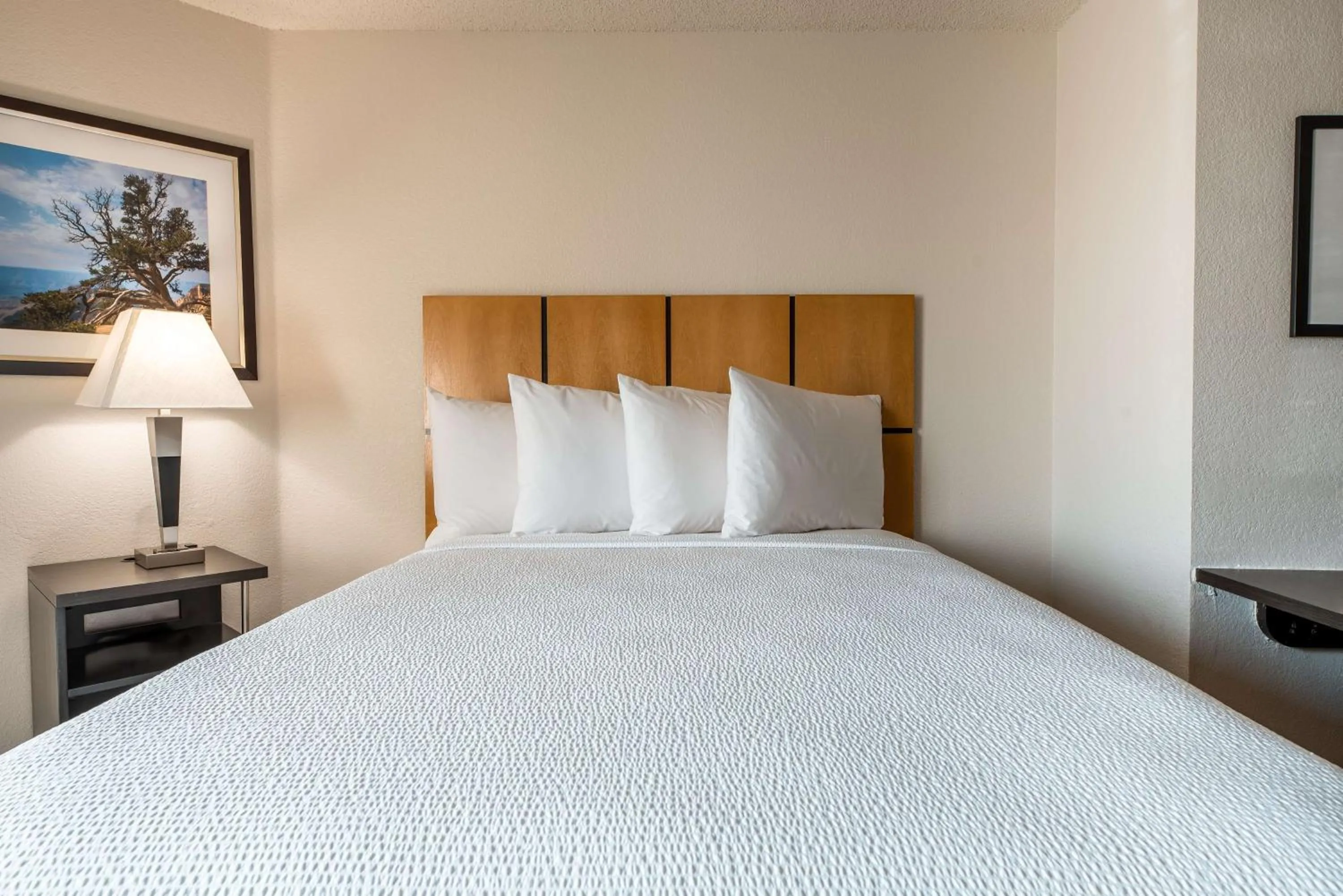 Photo of the whole room, Bed in Sonesta Simply Suites Dallas Richardson