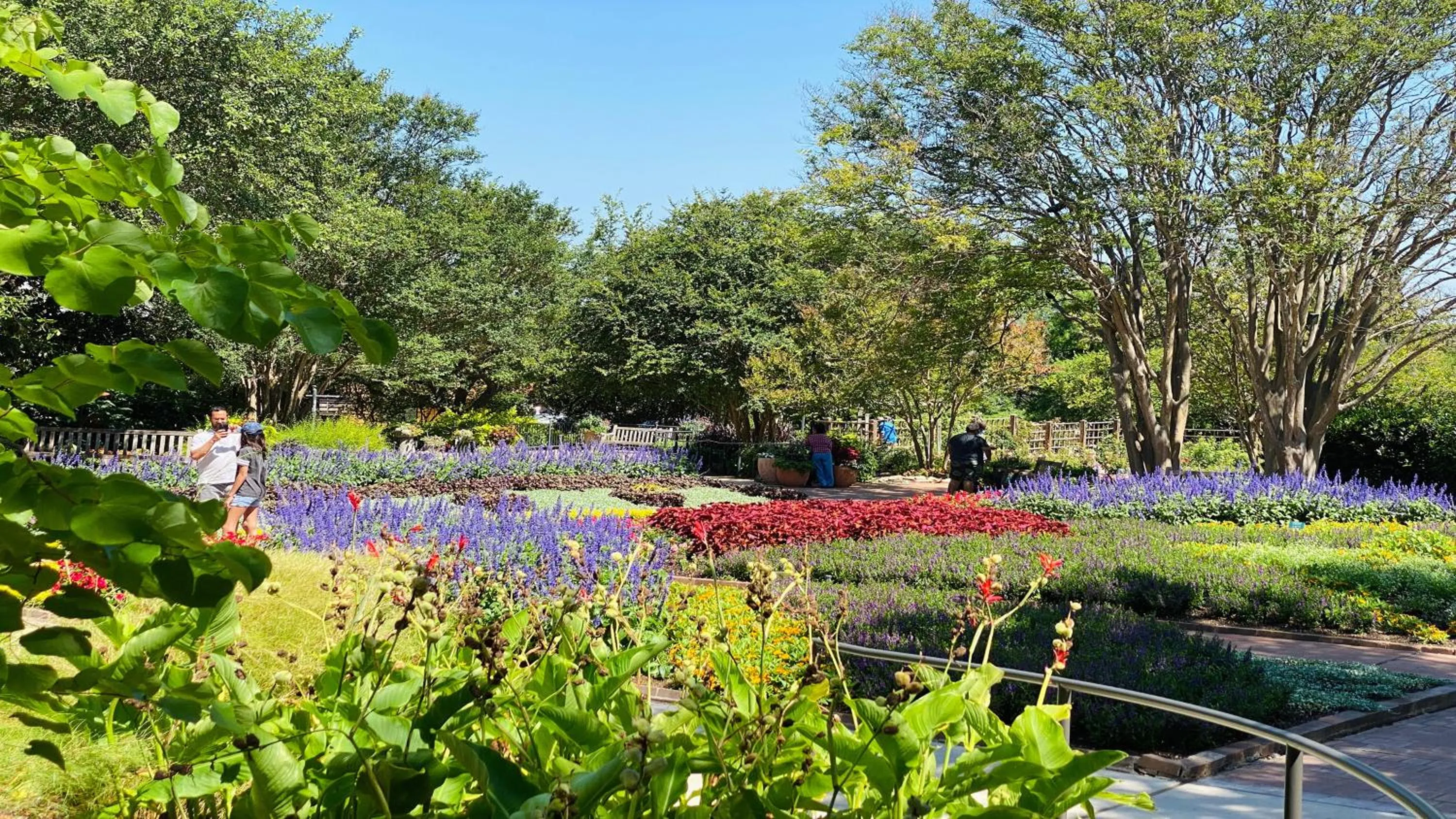 Nearby landmark in Holiday Inn Express Hotel & Suites San Antonio - Rivercenter Area by IHG