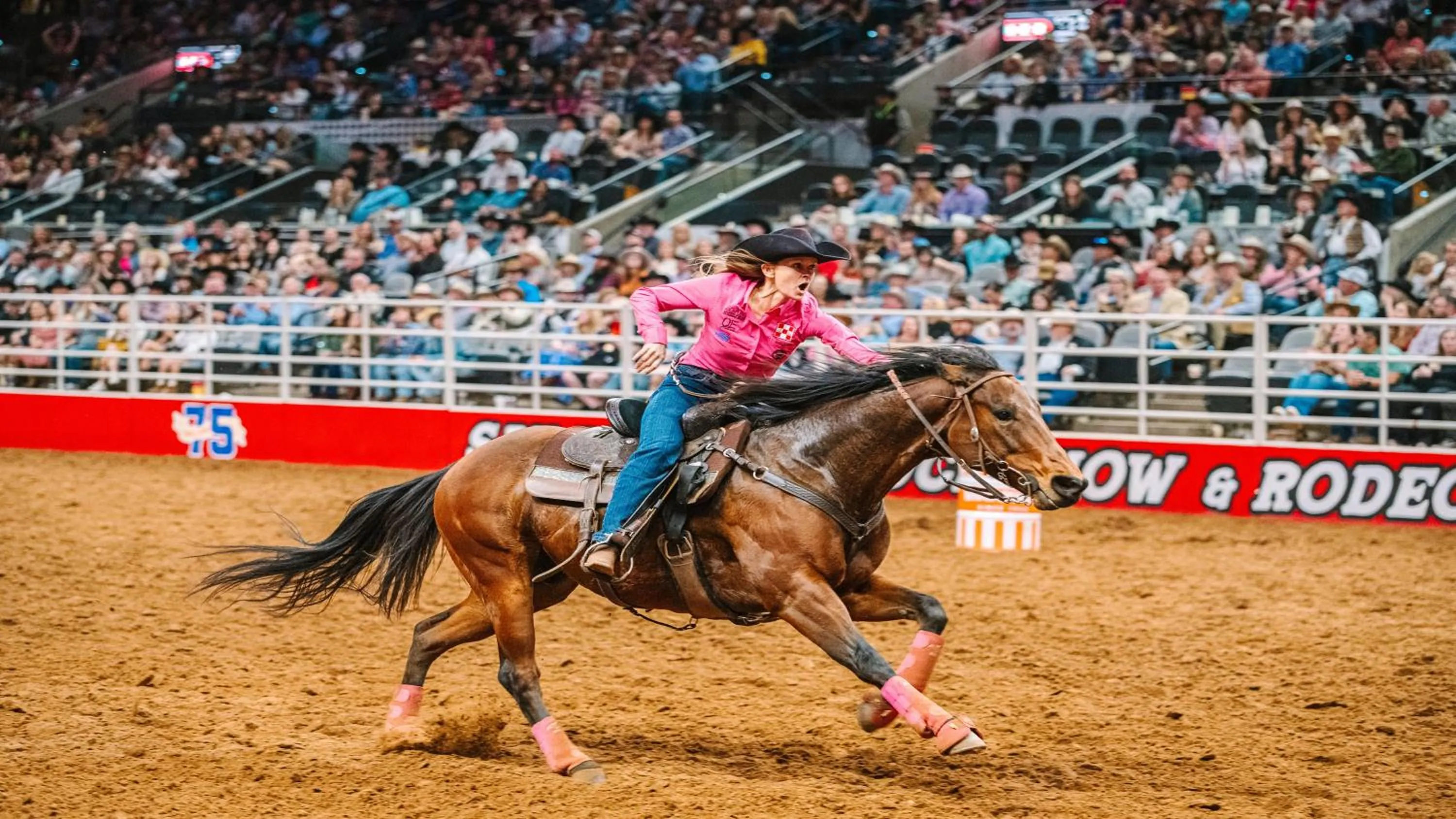 Nearby landmark in Holiday Inn Express Hotel & Suites San Antonio - Rivercenter Area by IHG