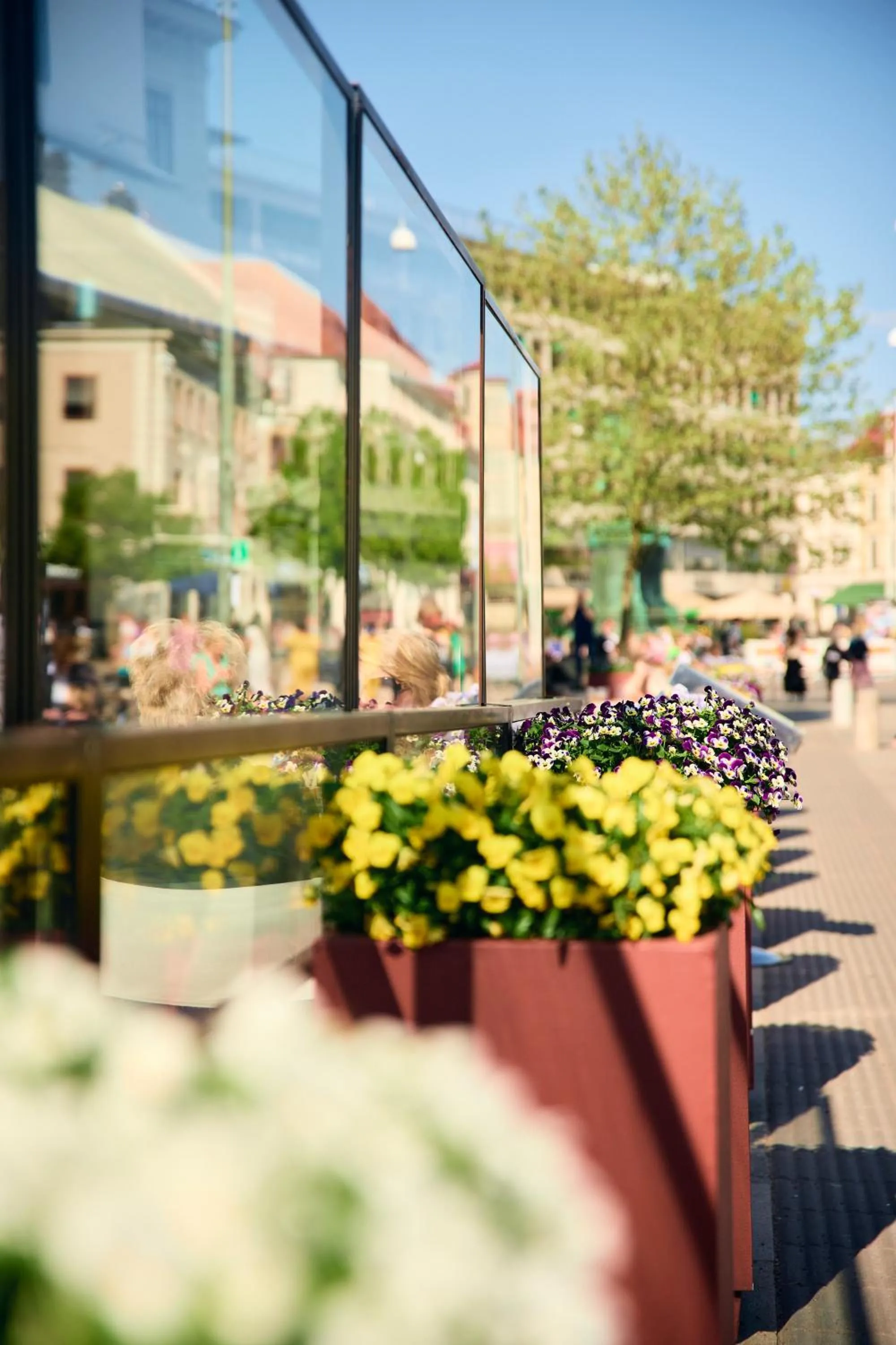 Property building in Avalon Hotel