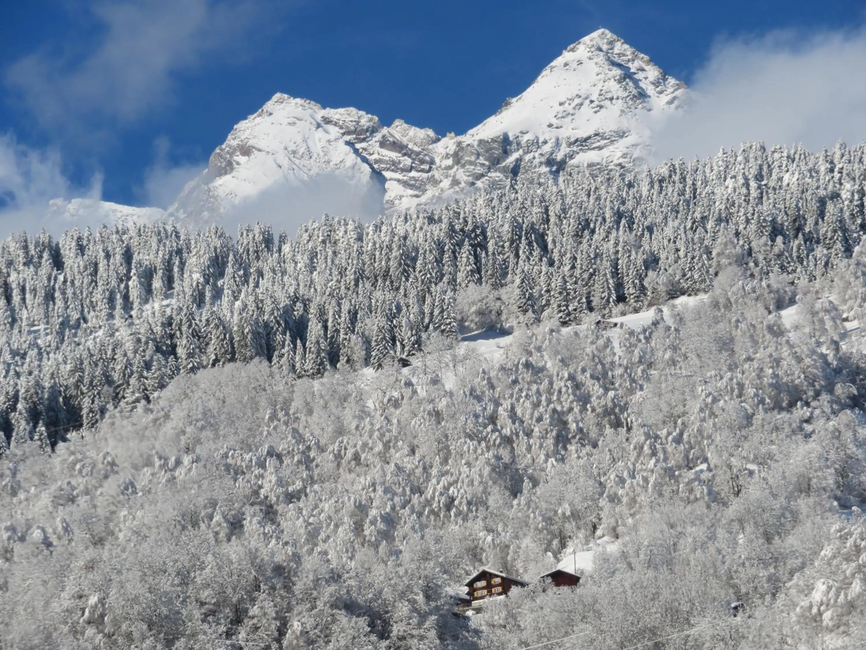 View (from property/room) in Ustria Crusch Alva