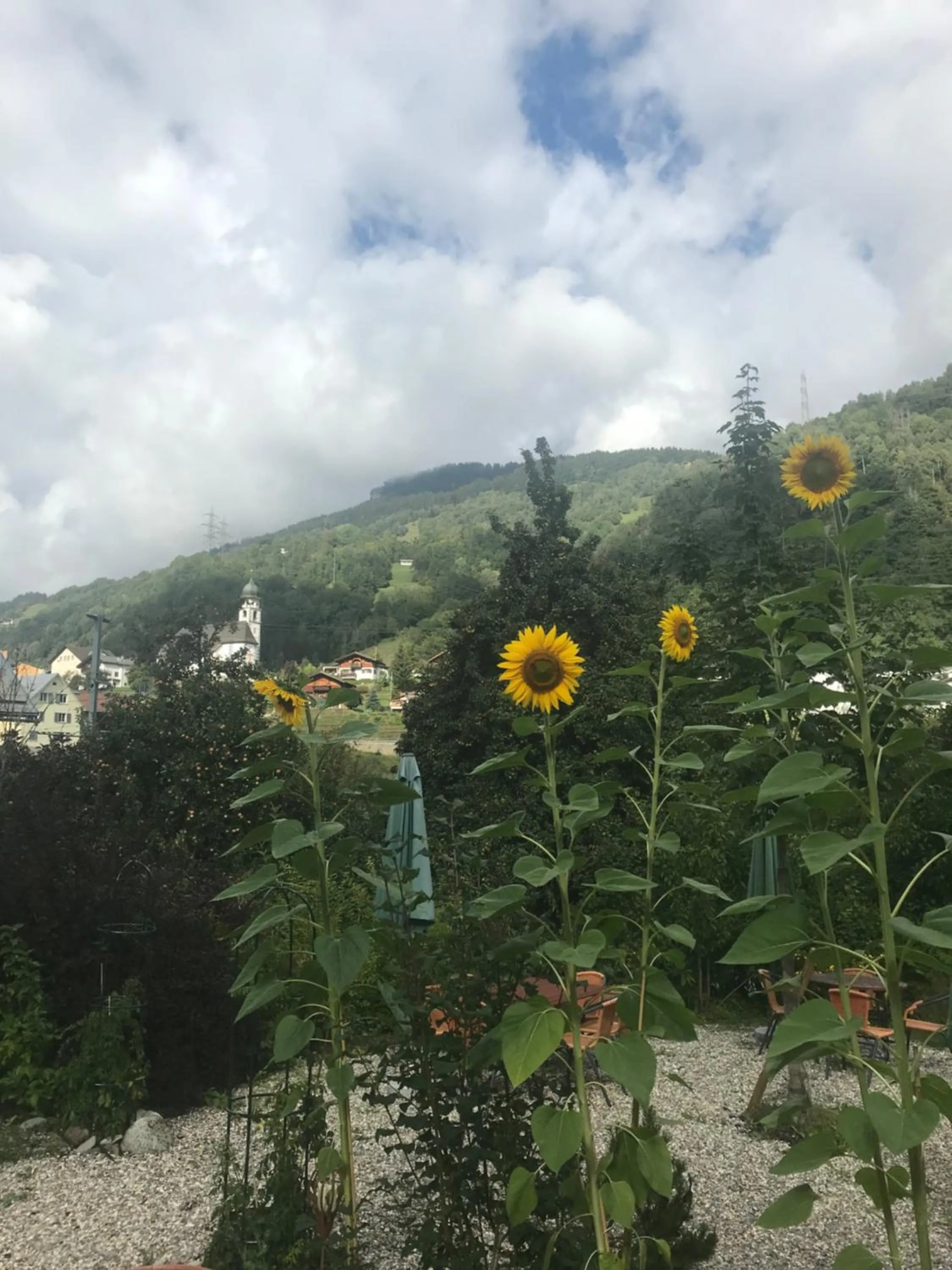 Mountain view in Ustria Crusch Alva