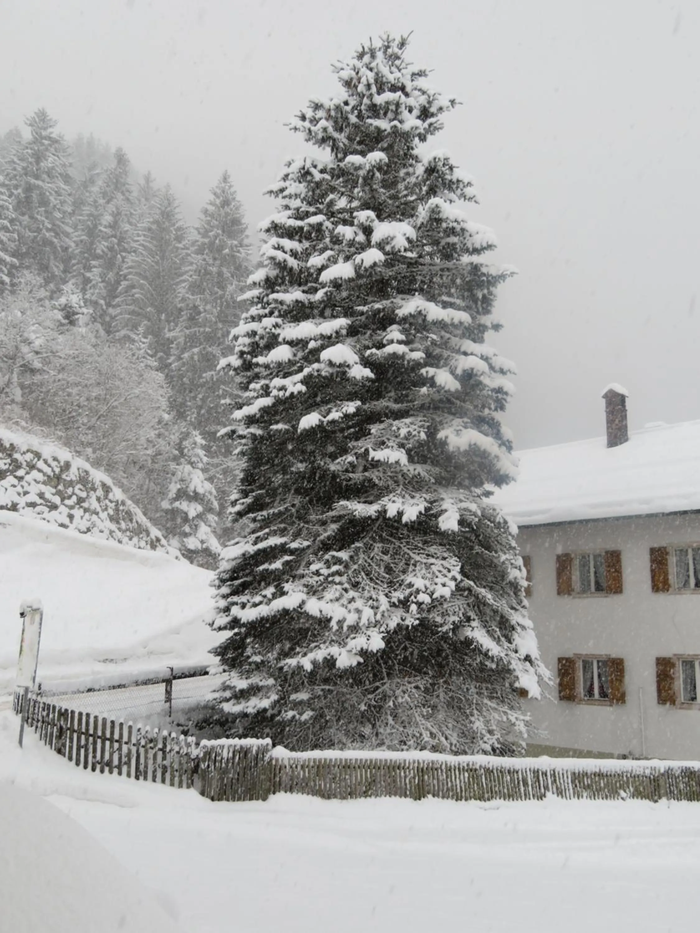 Natural landscape in Ustria Crusch Alva