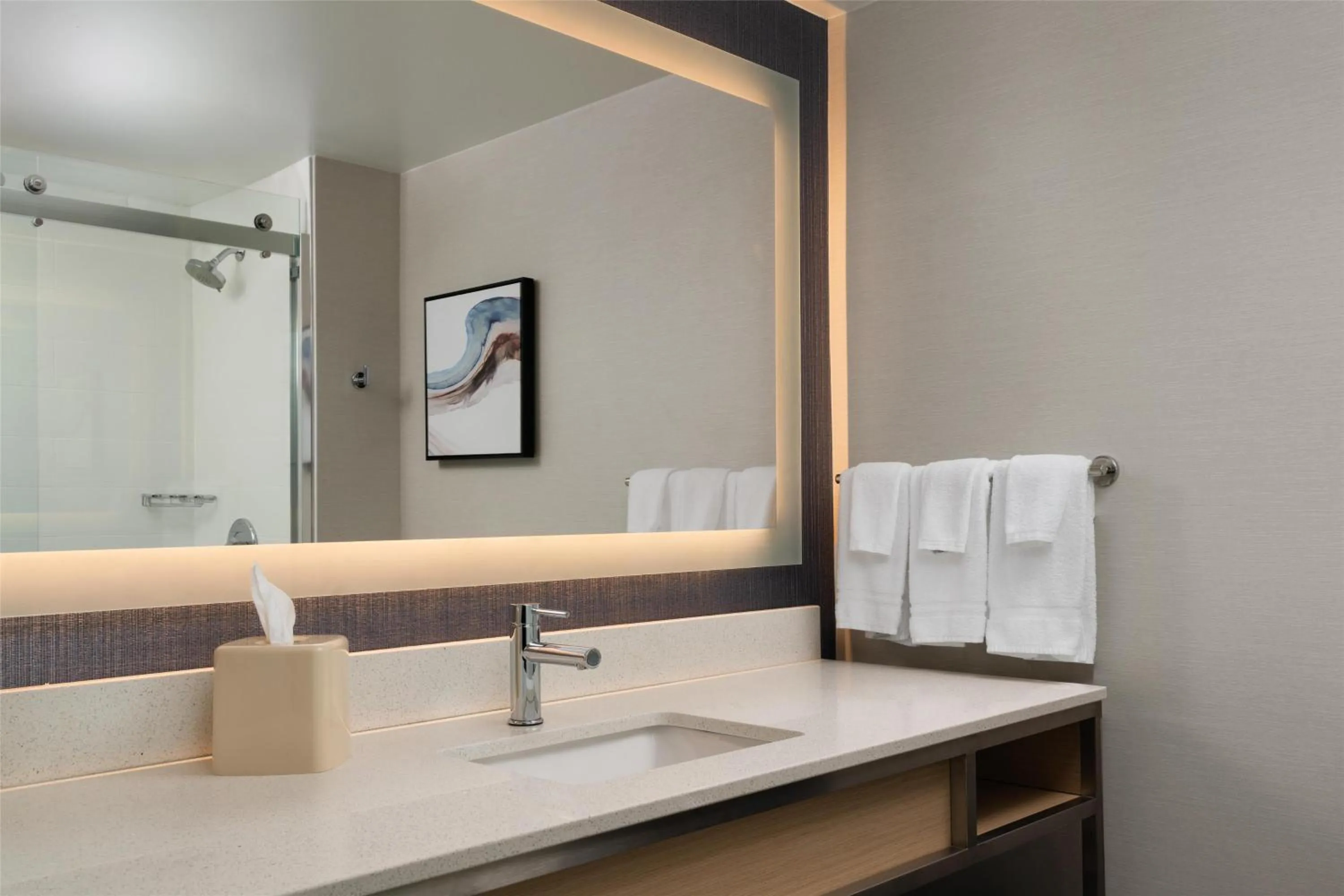 Bathroom in Hilton Garden Inn Richmond South/Southpark