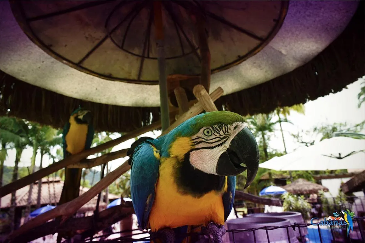 Animals in Cabanas Termas Hotel