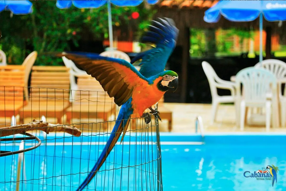 Animals in Cabanas Termas Hotel
