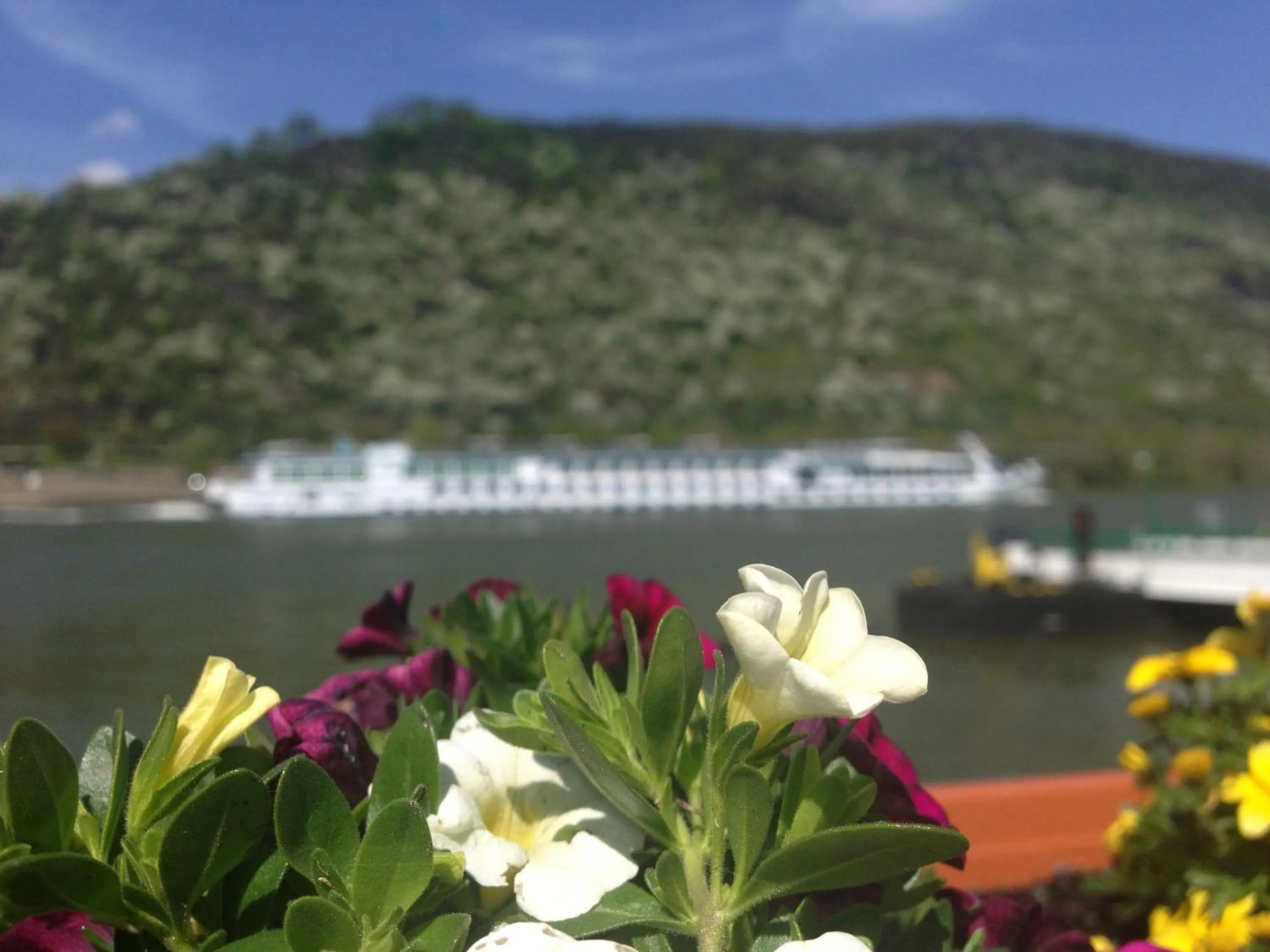 Facade/entrance in Rheinhotel Lilie