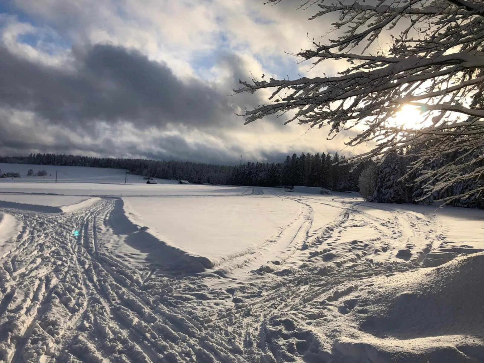 Property building in Schwarzwaldhotel Oberwiesenhof