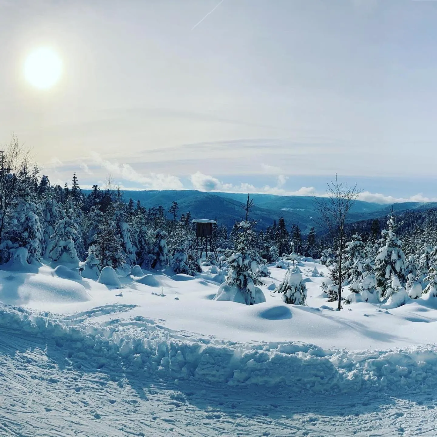 Property building in Schwarzwaldhotel Oberwiesenhof