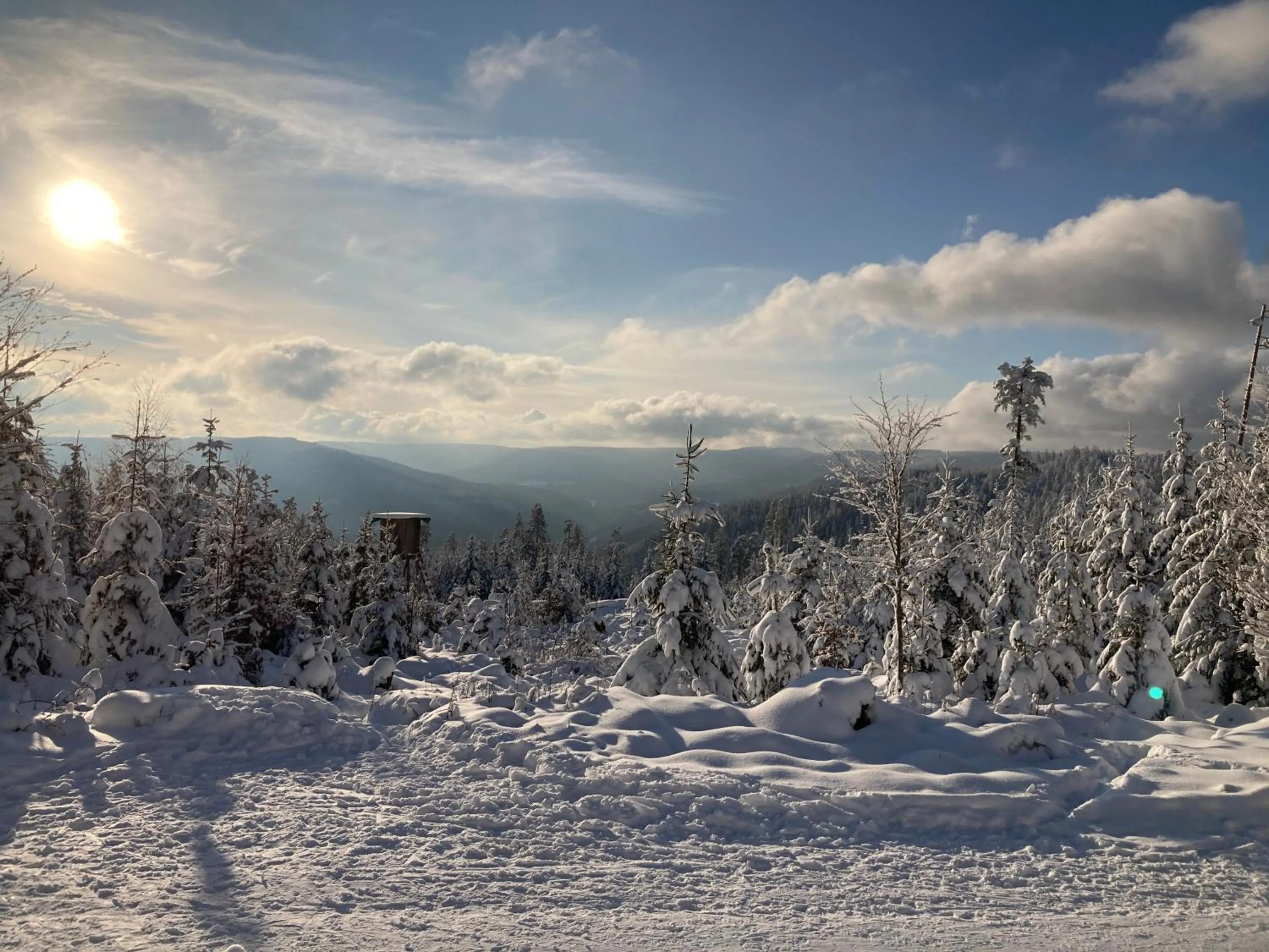 Property building in Schwarzwaldhotel Oberwiesenhof
