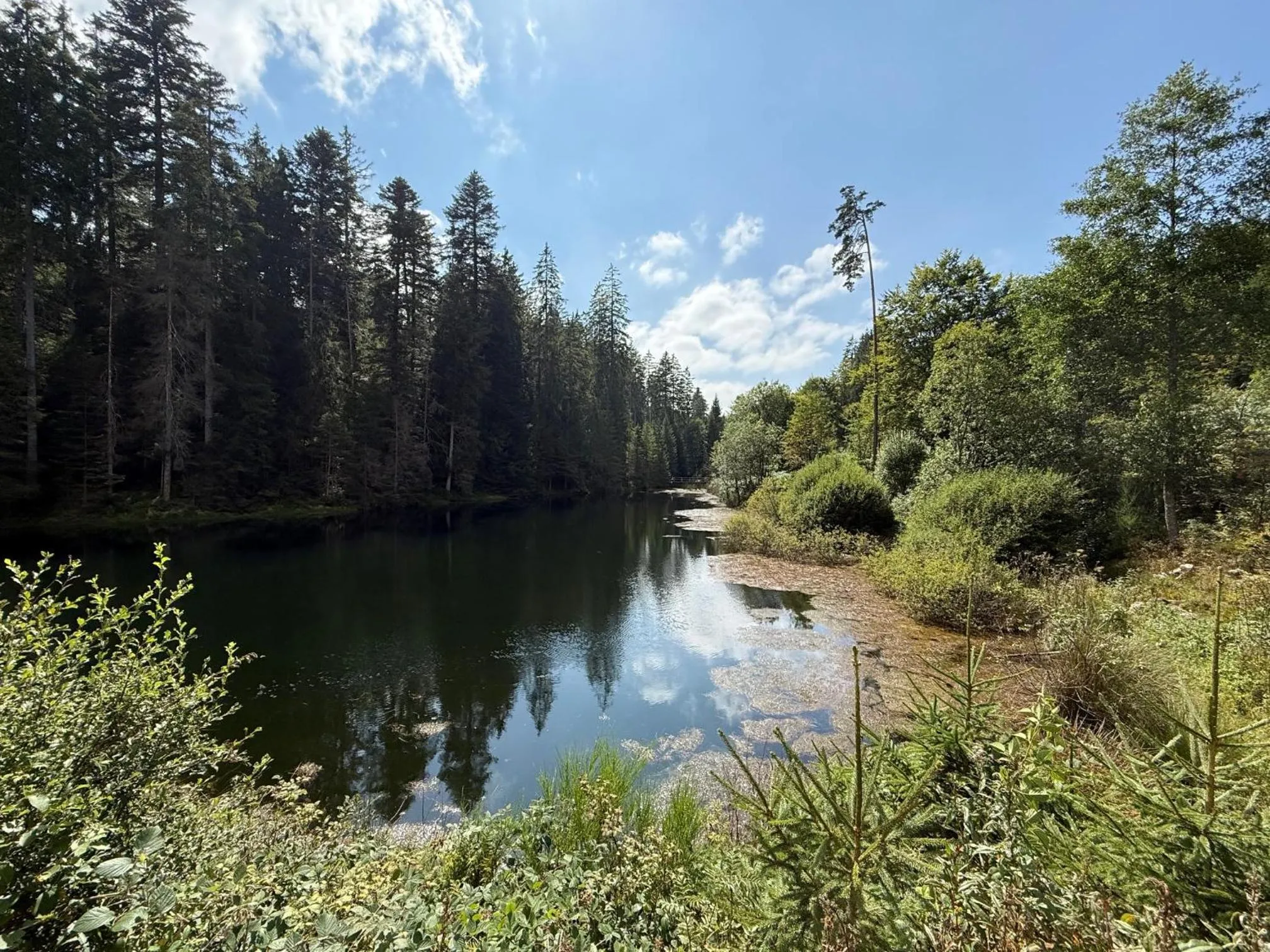 Property building in Schwarzwaldhotel Oberwiesenhof