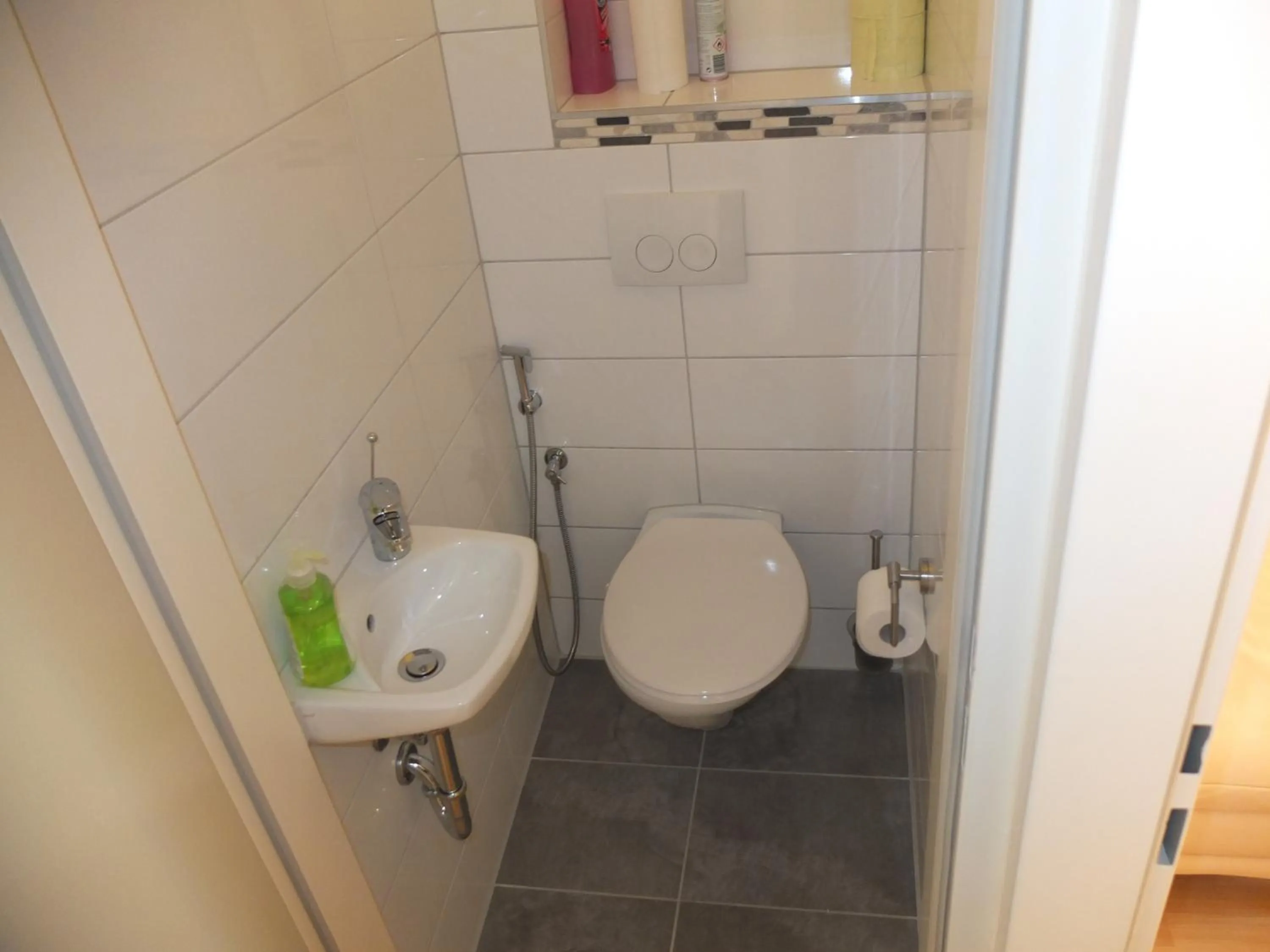 Toilet in Leopoldauer Apartment