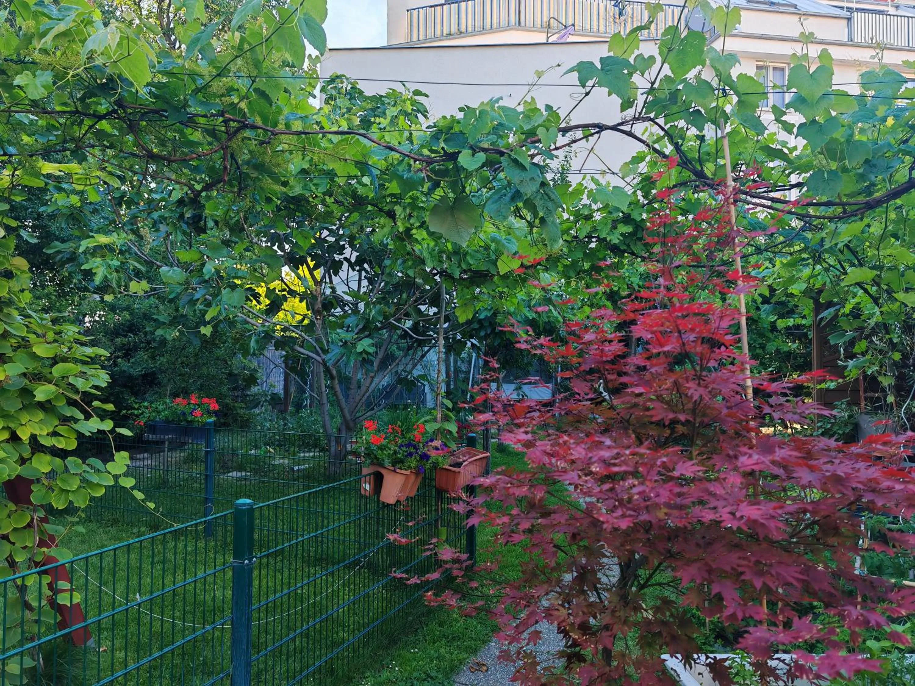 Garden in Leopoldauer Apartment