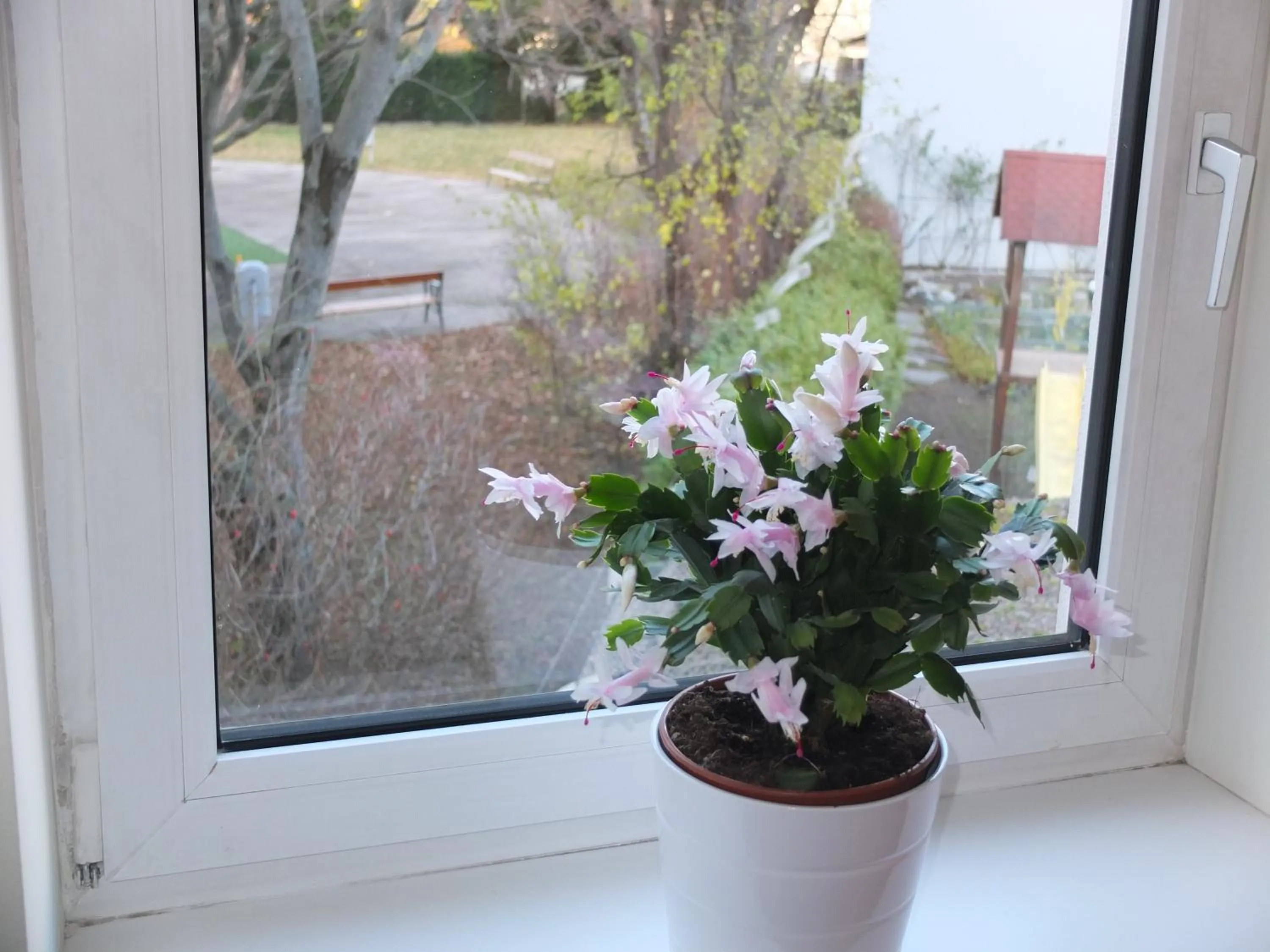 Autumn in Leopoldauer Apartment