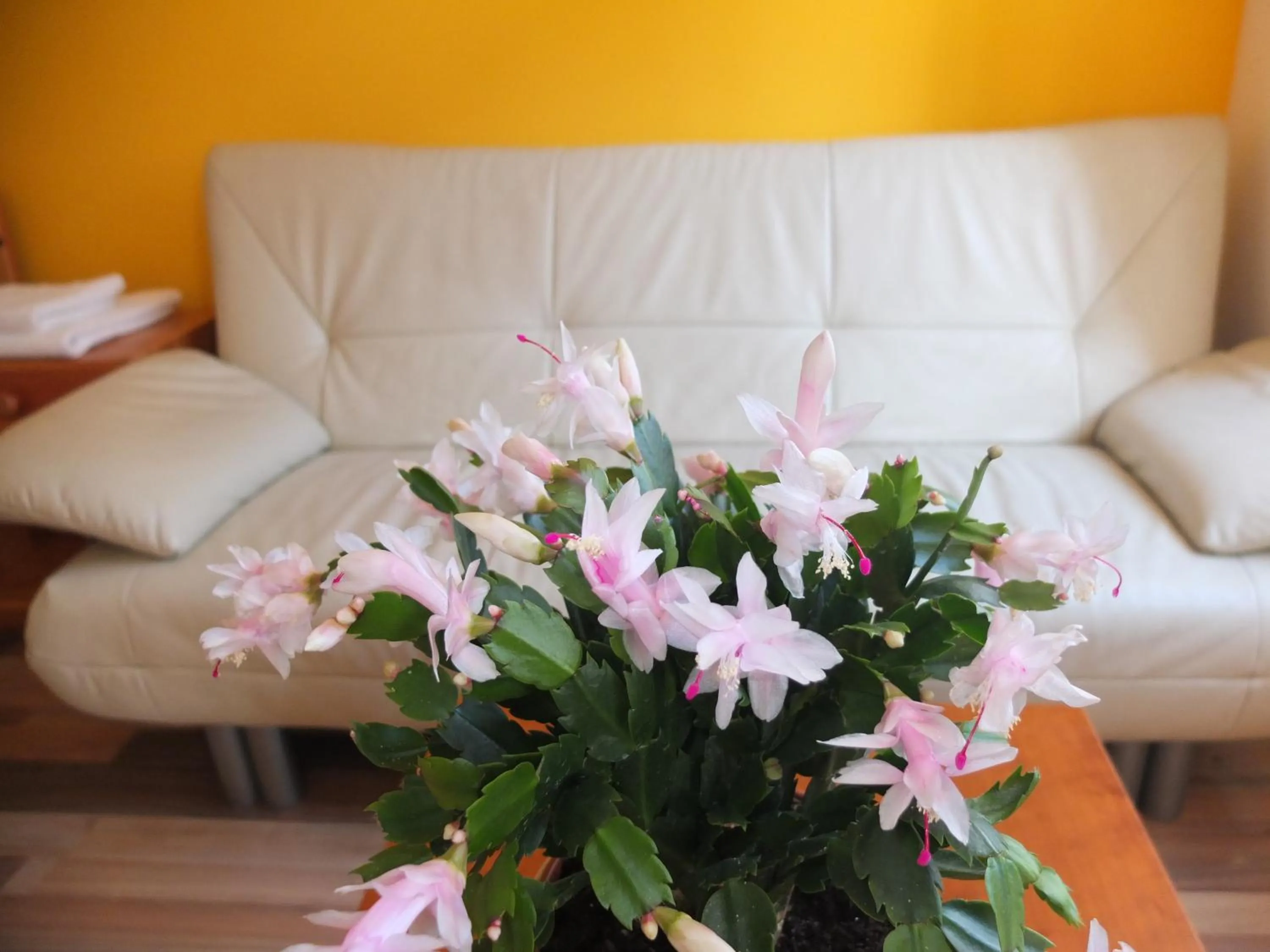 Seating area in Leopoldauer Apartment