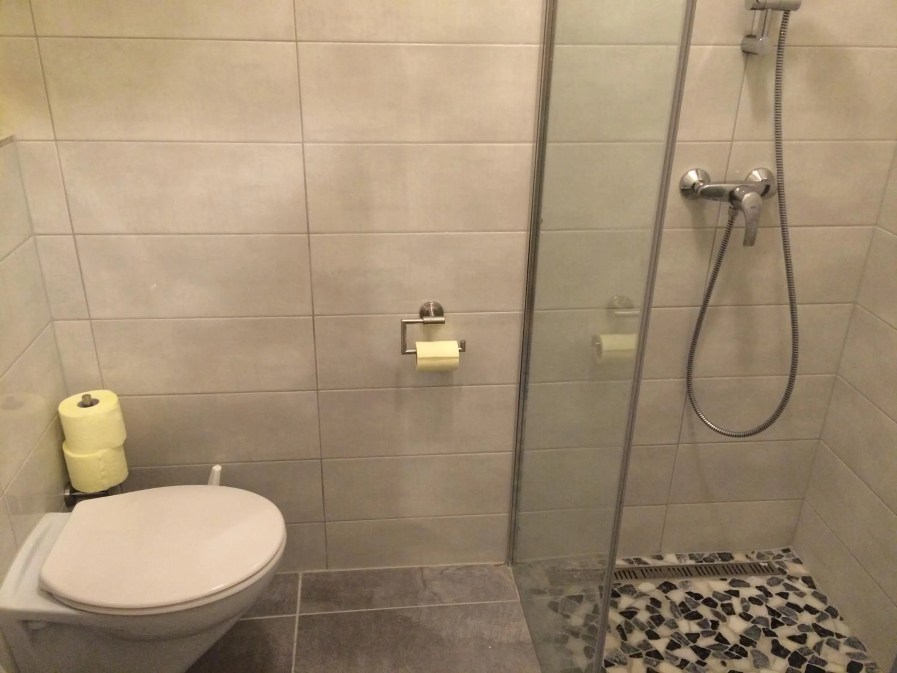 Shower in Leopoldauer Apartment