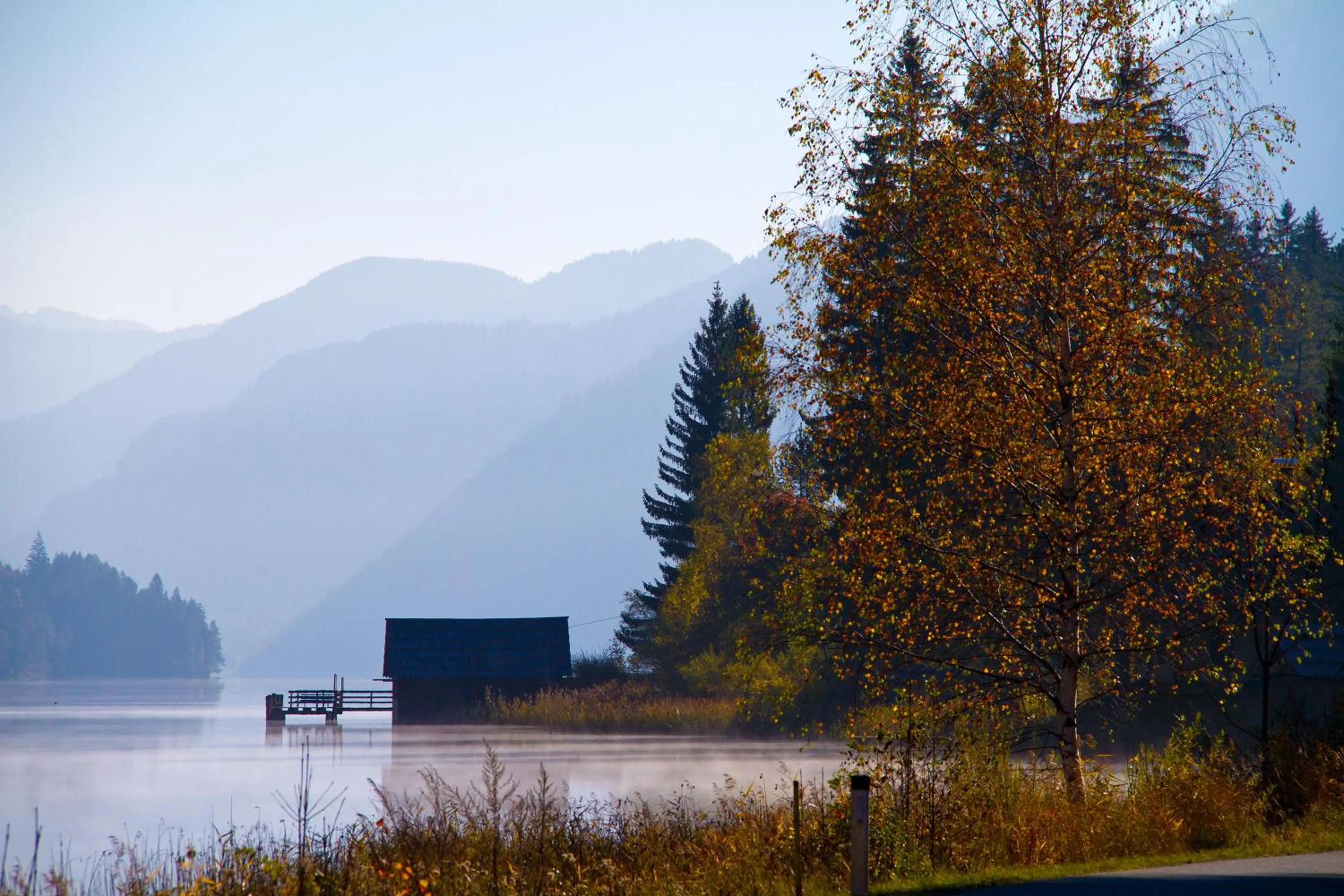 Natural landscape in Haus Lackner am Weissensee in Kärnten
