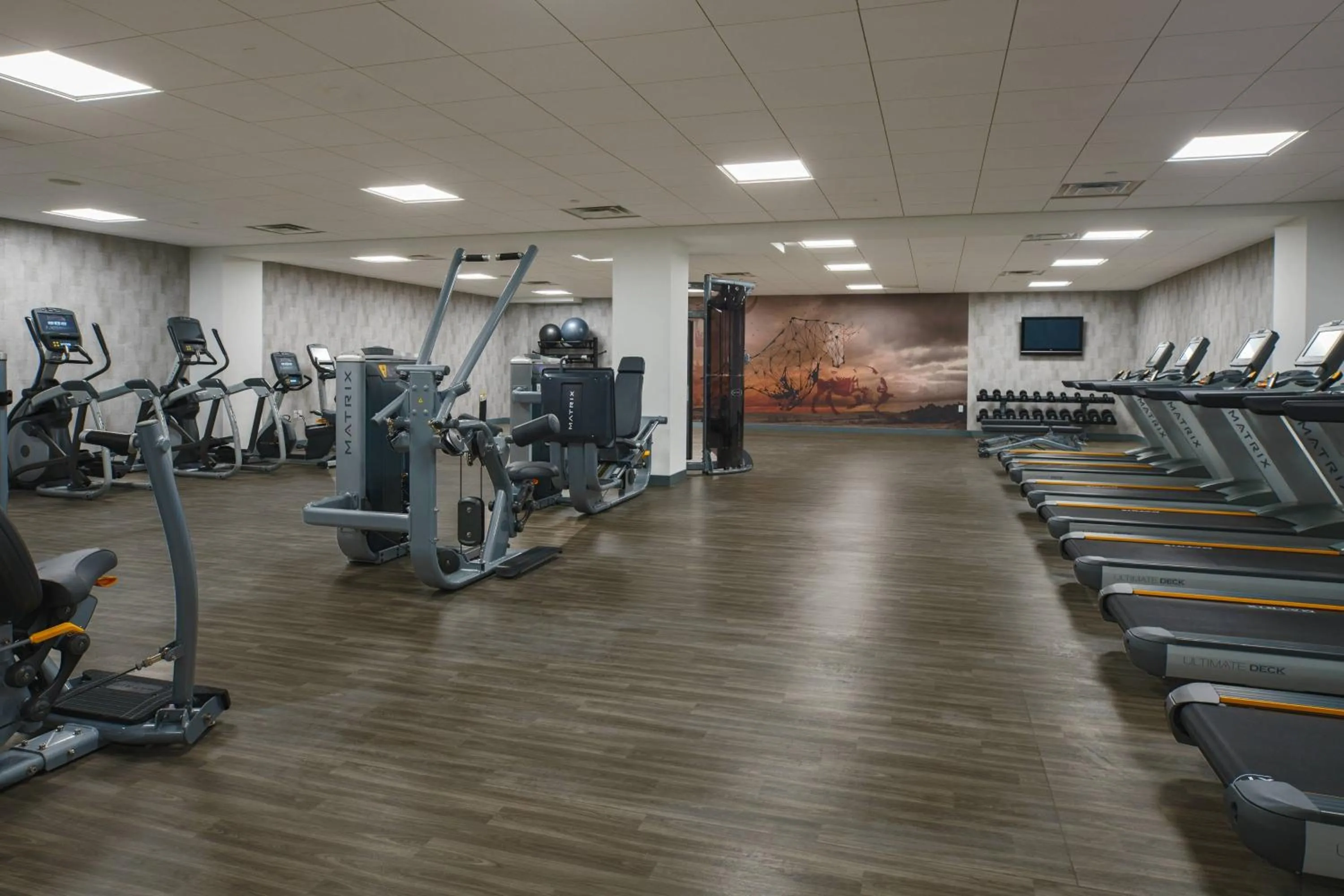Fitness centre/facilities in Renaissance Dallas Addison