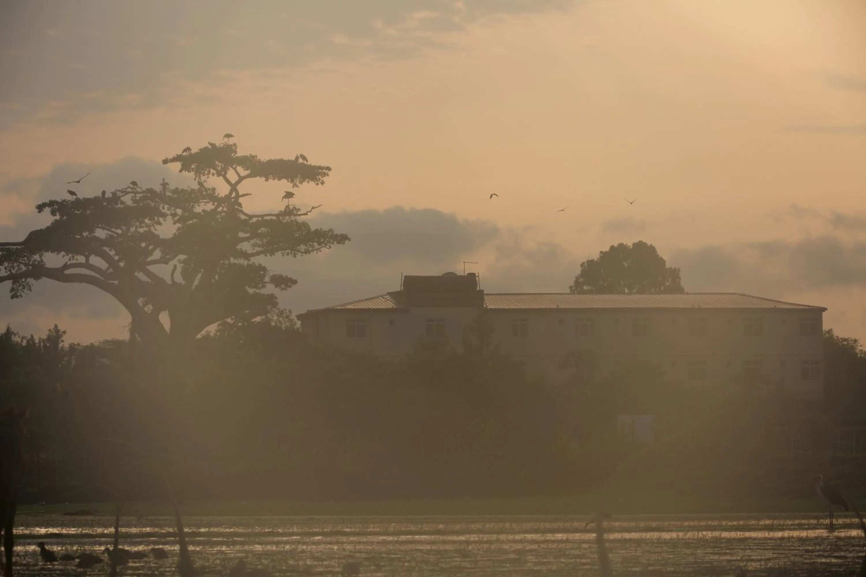 Natural landscape in Haile Resort Ziway Batu