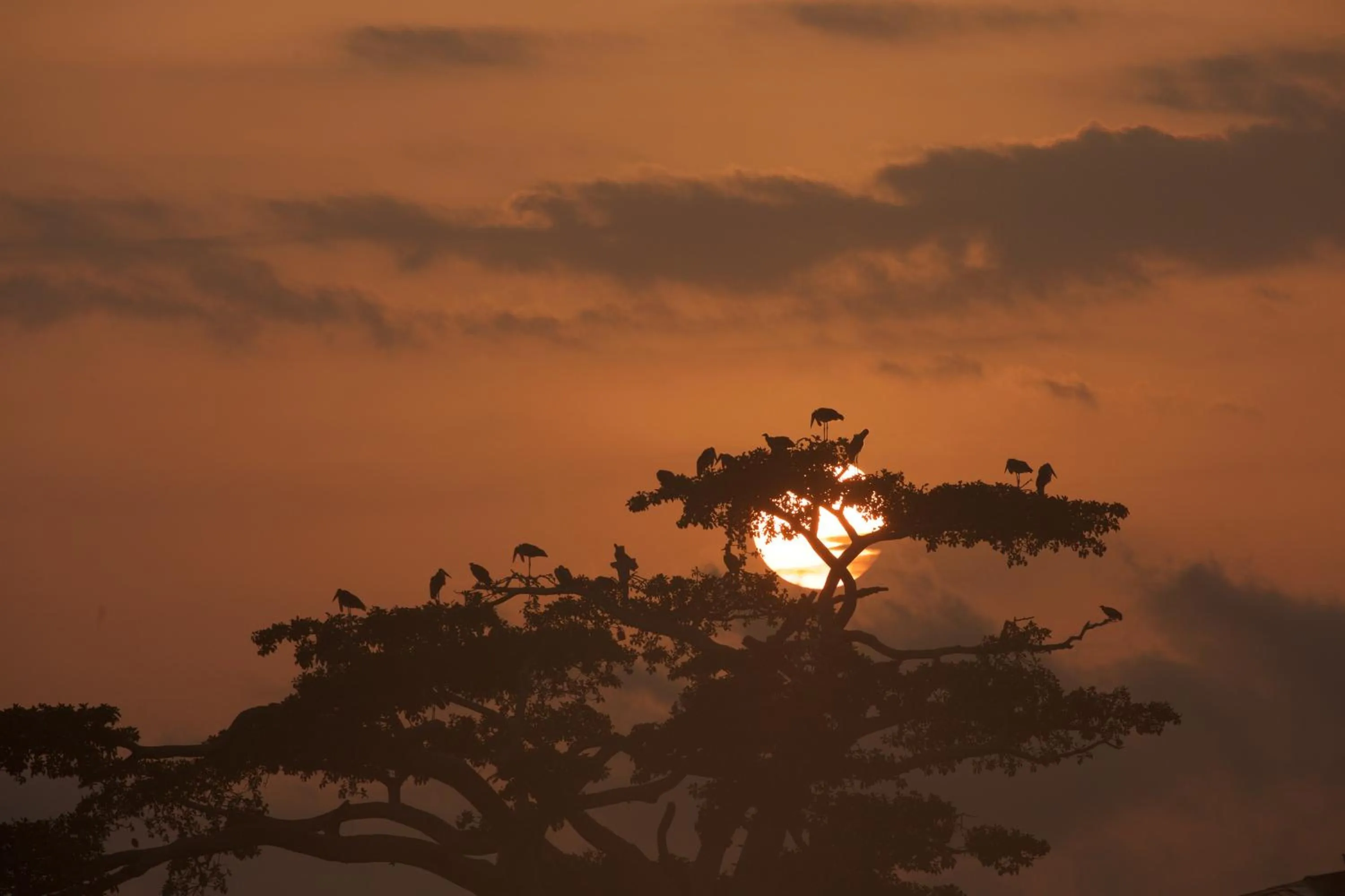 Natural landscape in Haile Resort Ziway Batu
