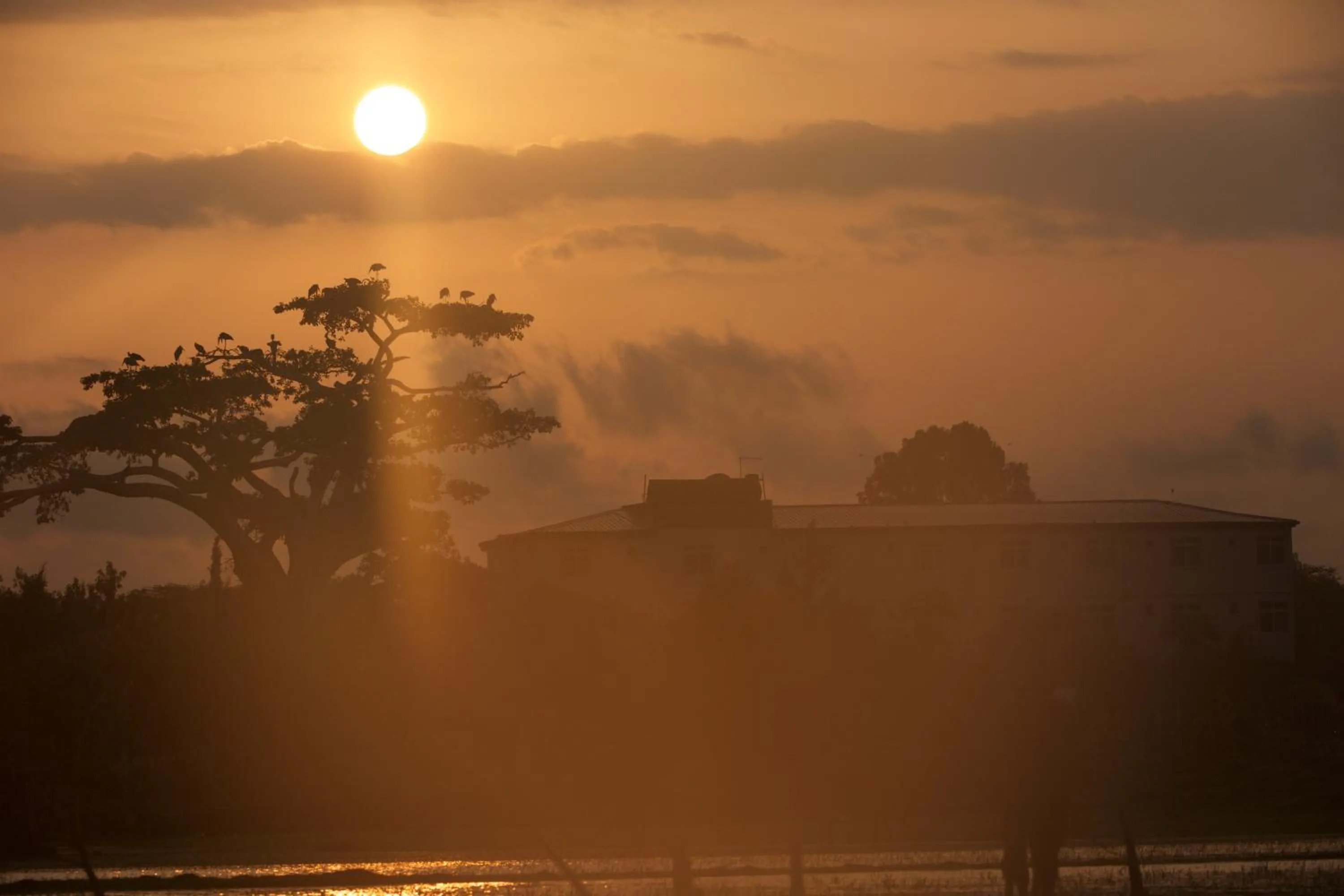 Natural landscape in Haile Resort Ziway Batu