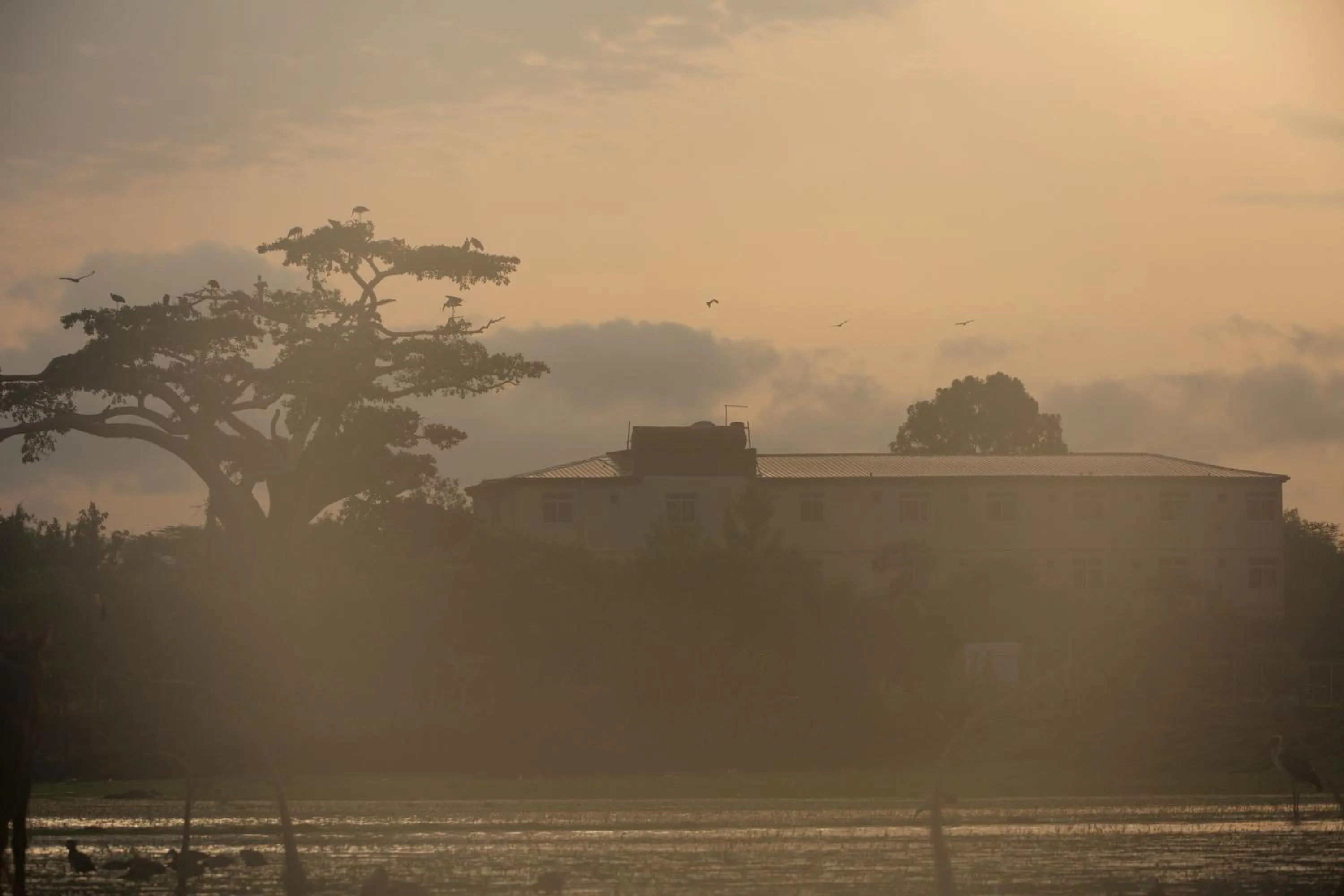 Natural landscape in Haile Resort Ziway Batu