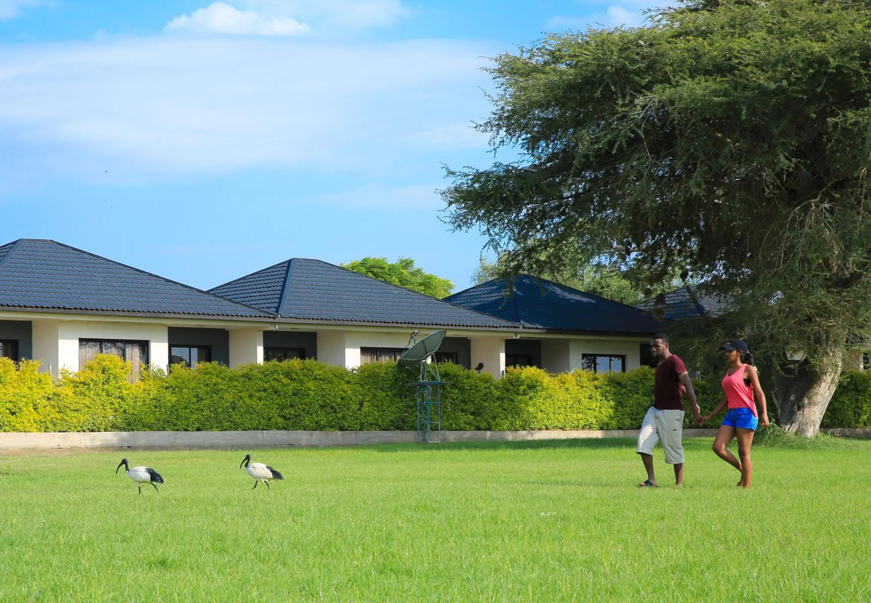 Garden in Haile Resort Ziway Batu