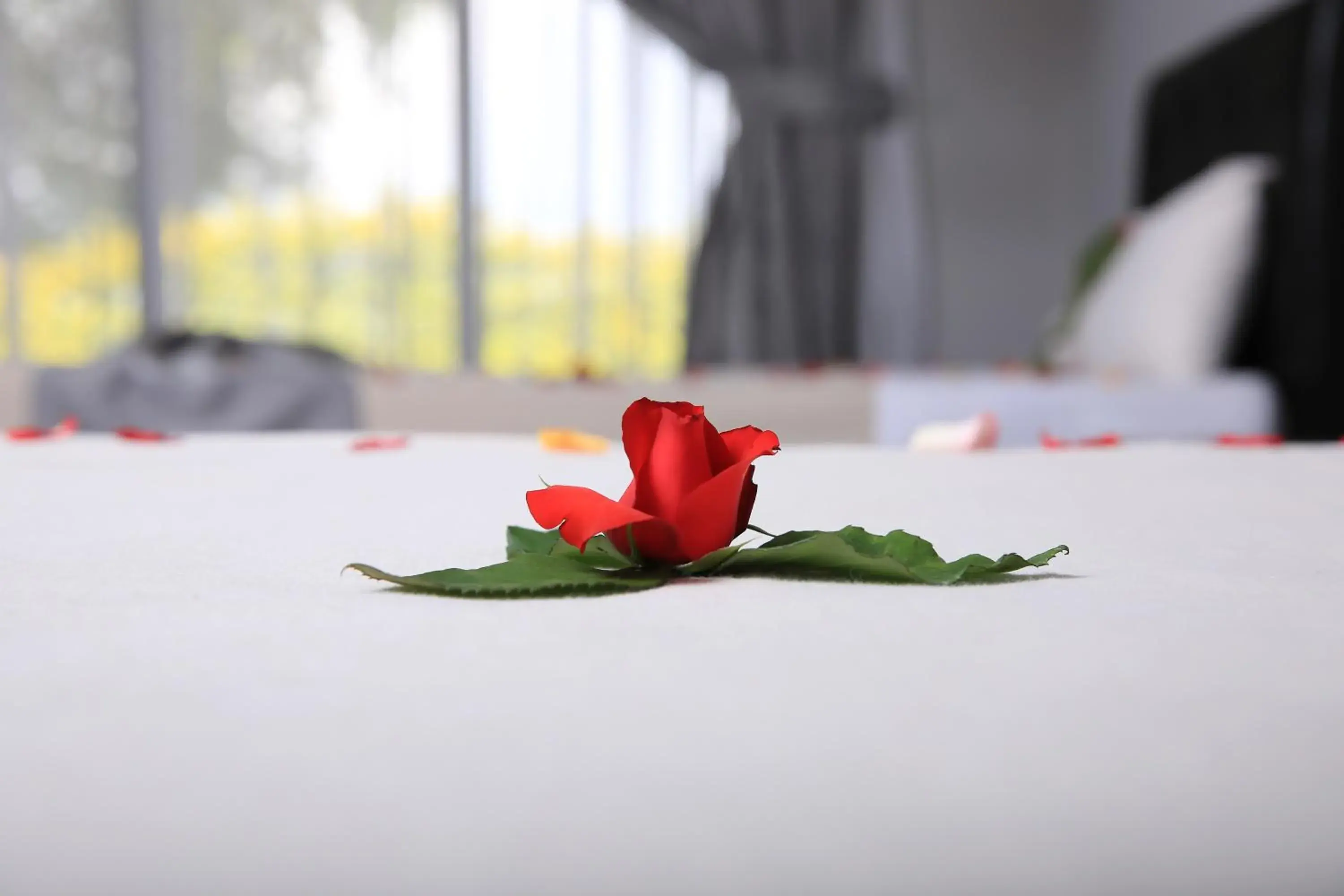 Standard Twin Room in Haile Resort Ziway Batu Standard Twin Room in Haile Resort Ziway Batu