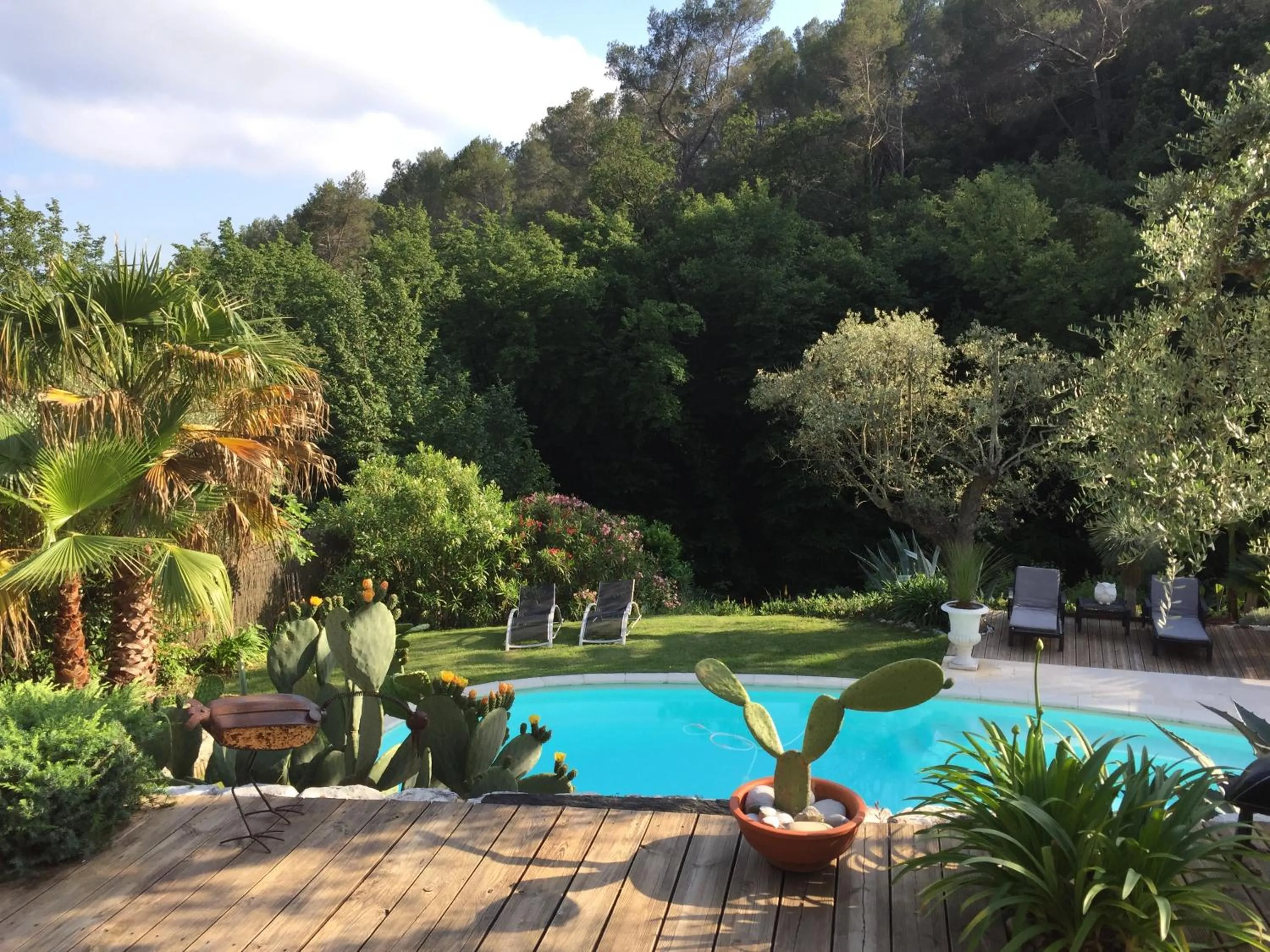 Pool view in Le Maskalou